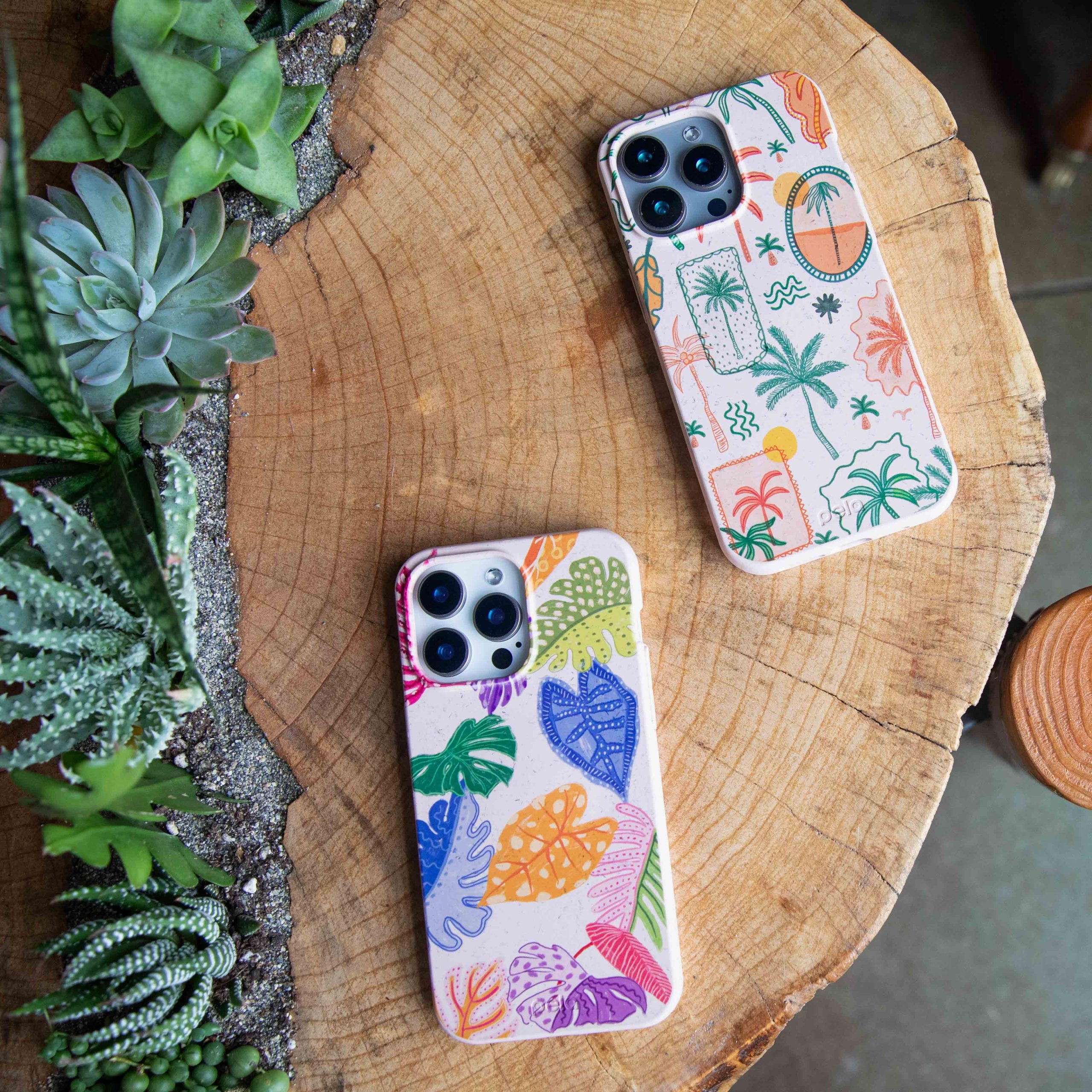 TROPICAL-CHEER_S21_Seashell