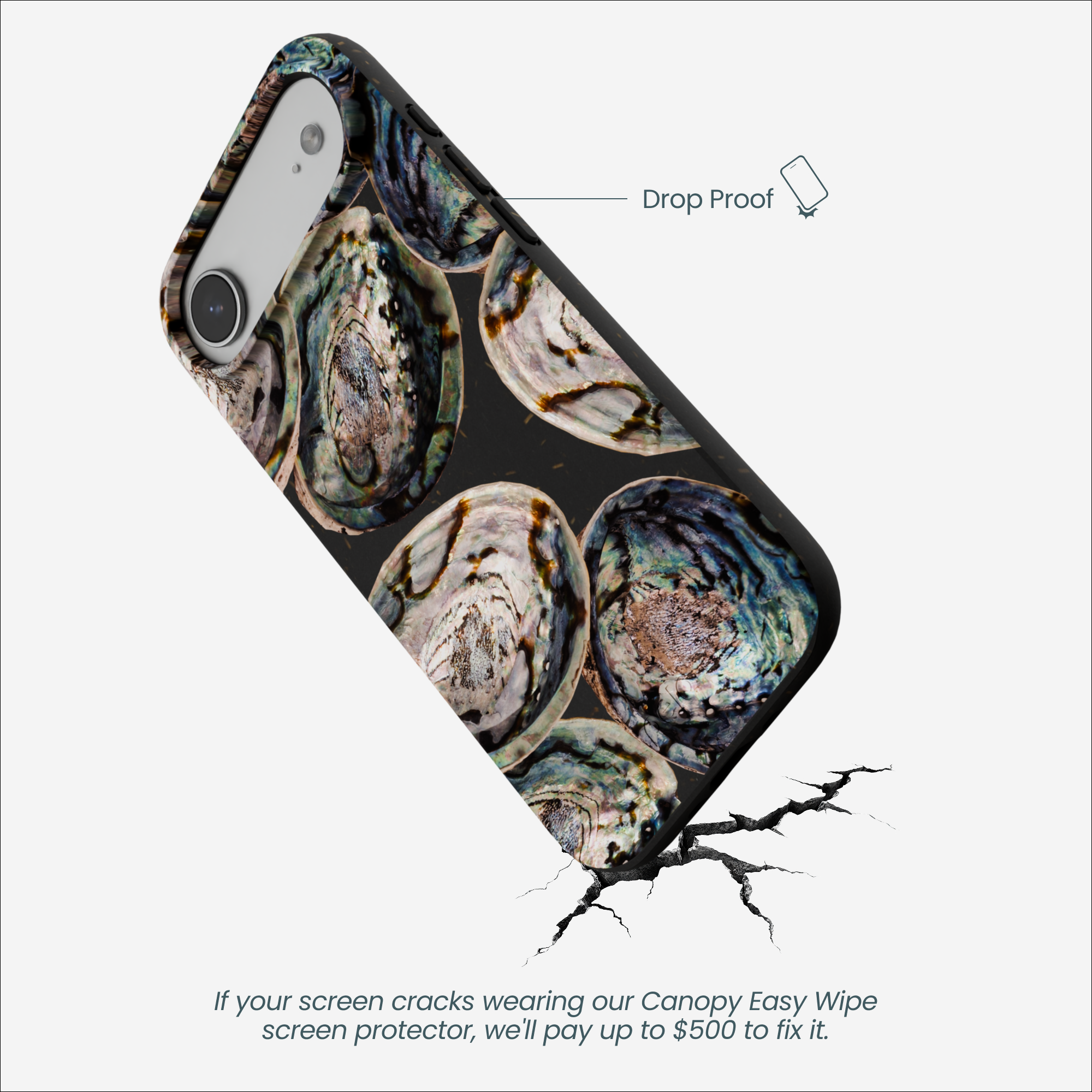 ABALONE-SHELLS_IP17AIR_Black