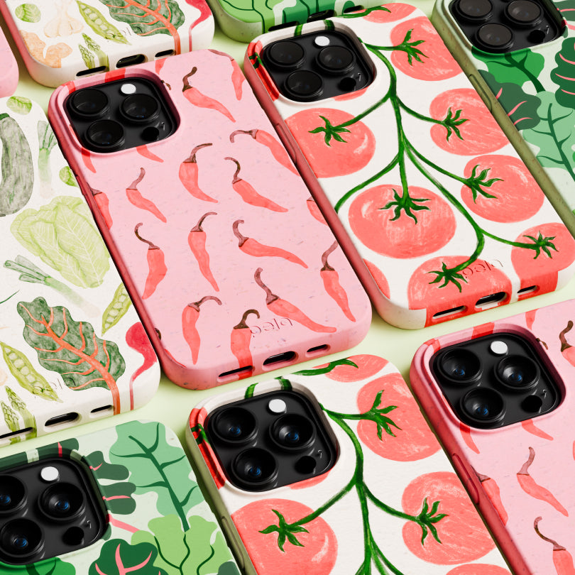 TOMATO-TANGO_S24_Seashell