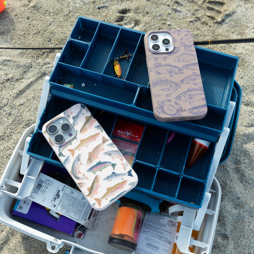 RAINBOW-TROUT_PX8_Seashell