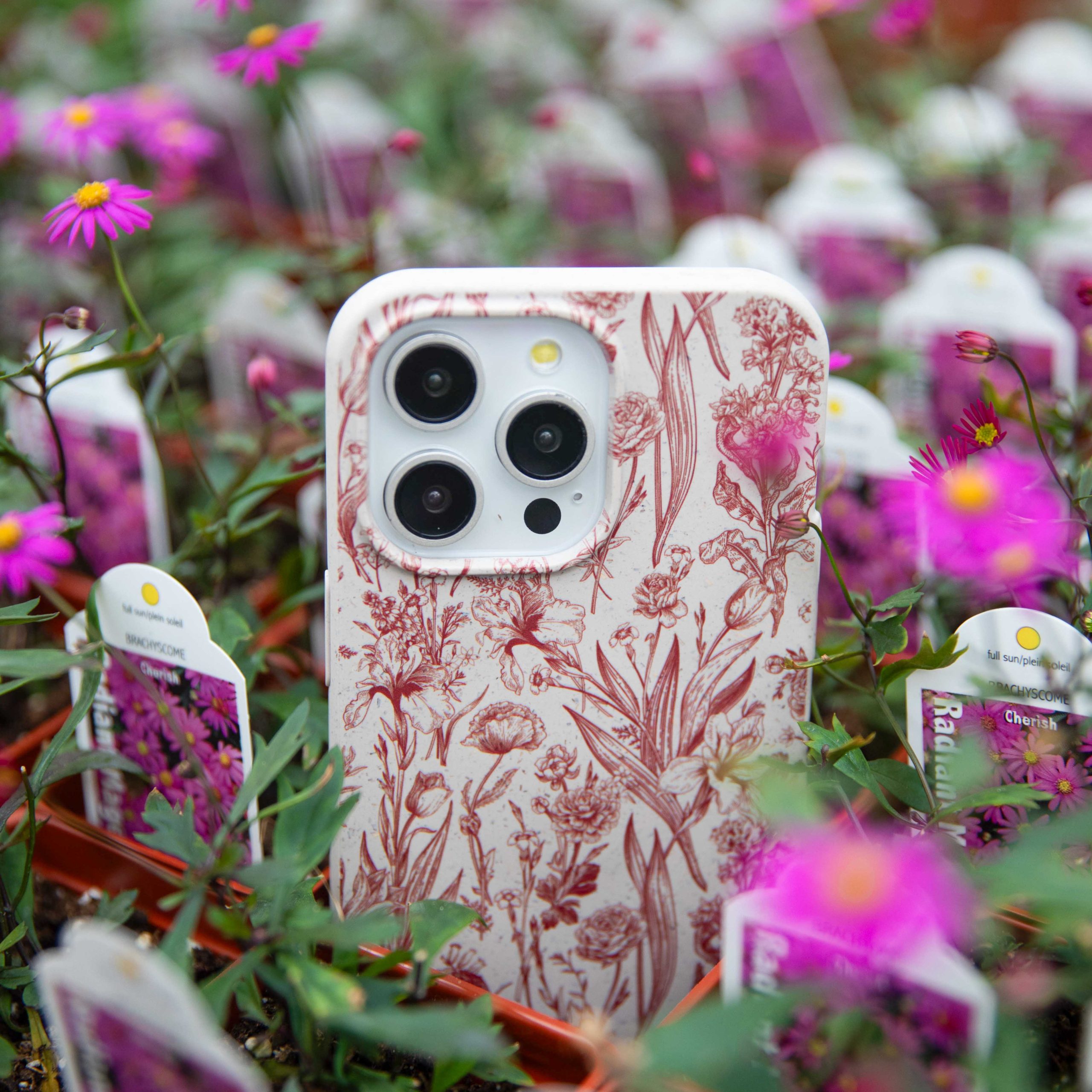 CRIMSON-BOUQUET_IP7_LondonFog