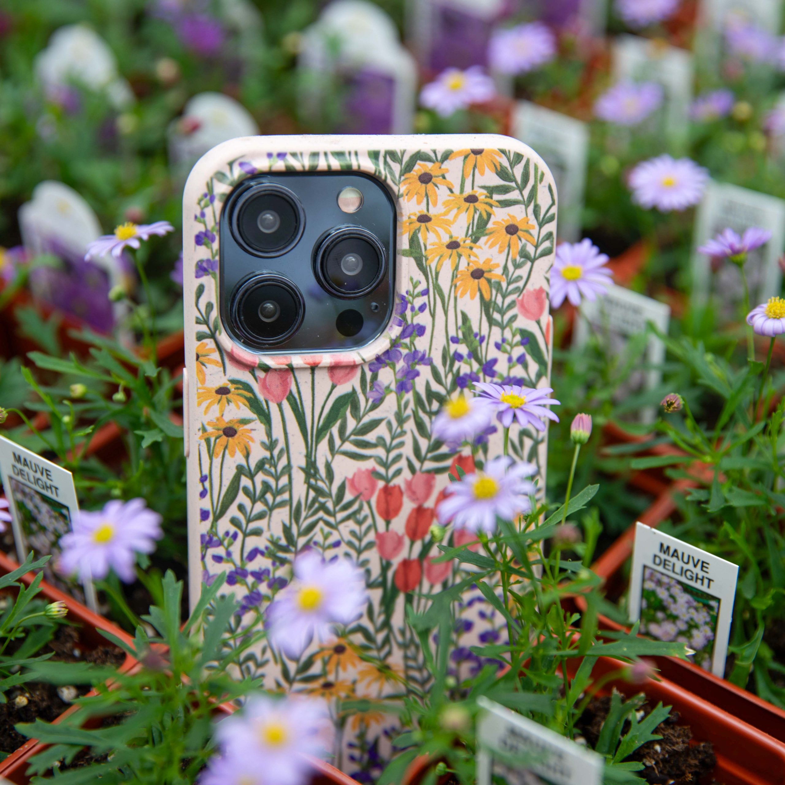 FLOWER-FIELD_S21_Seashell