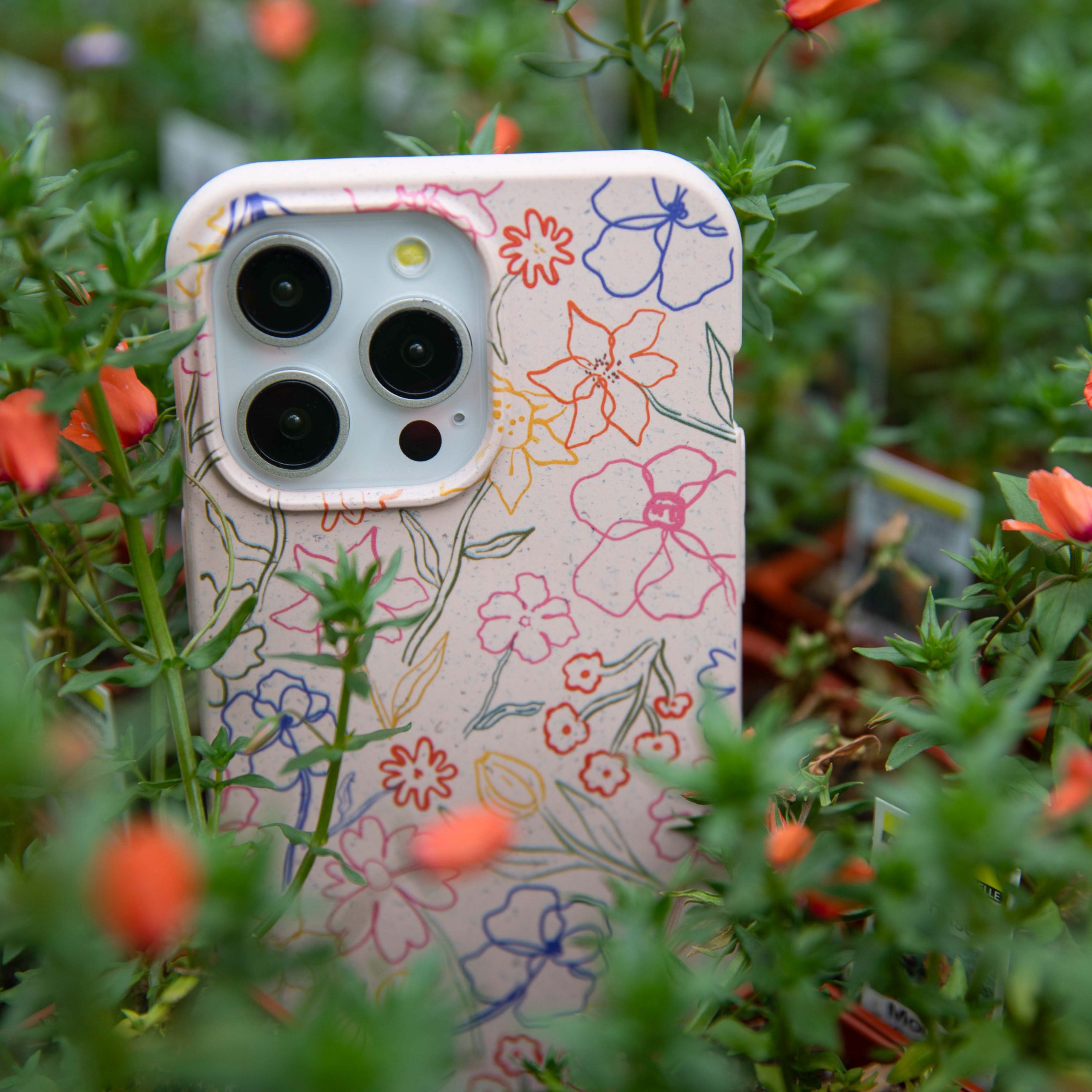 PETALS-SKETCH_IP14P_Seashell