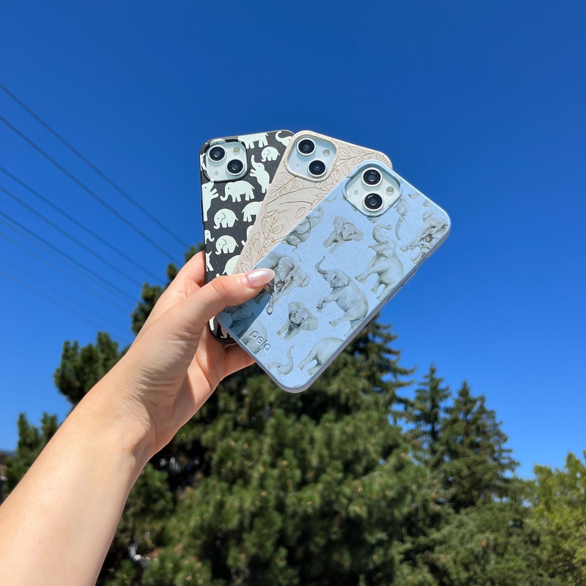 LITTLE-ELEPHANTS_PX7A_Black