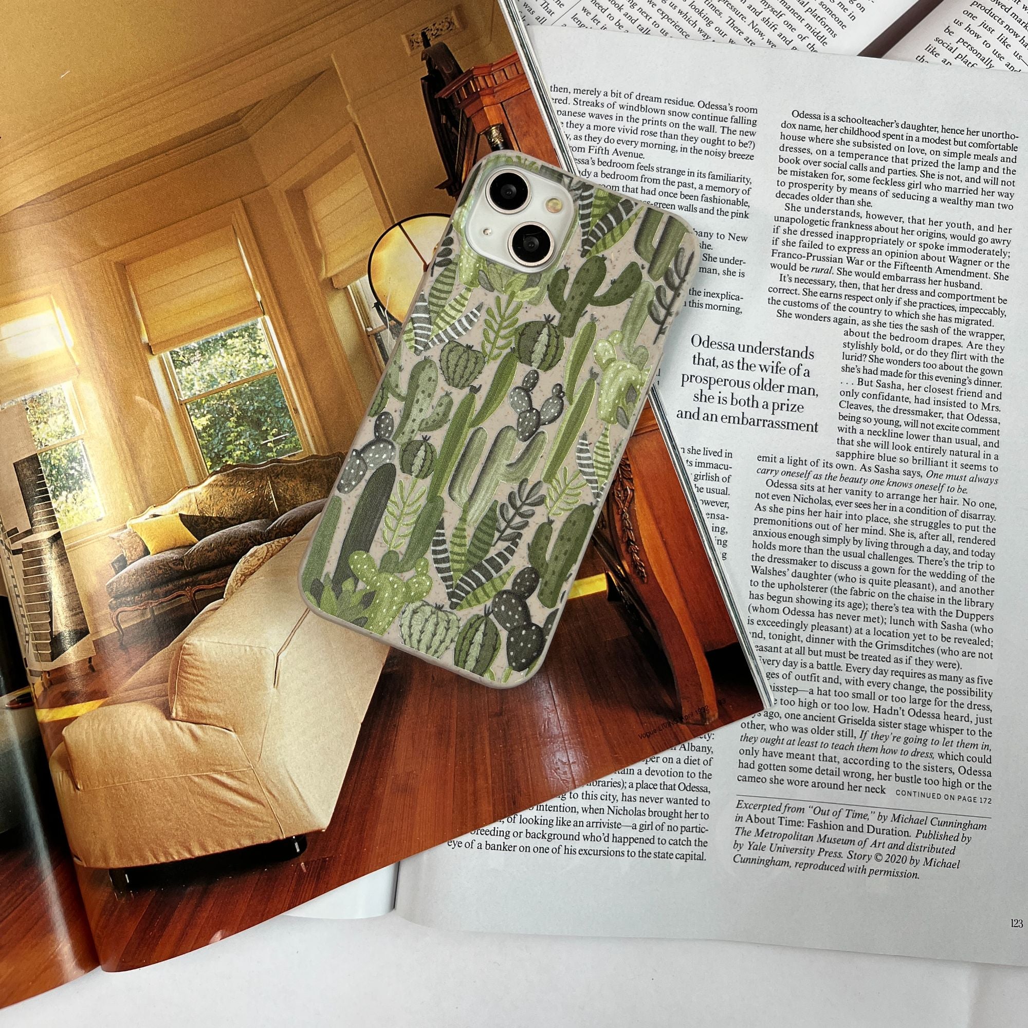 SUCCULENT-CACTI_IPXR_Seashell