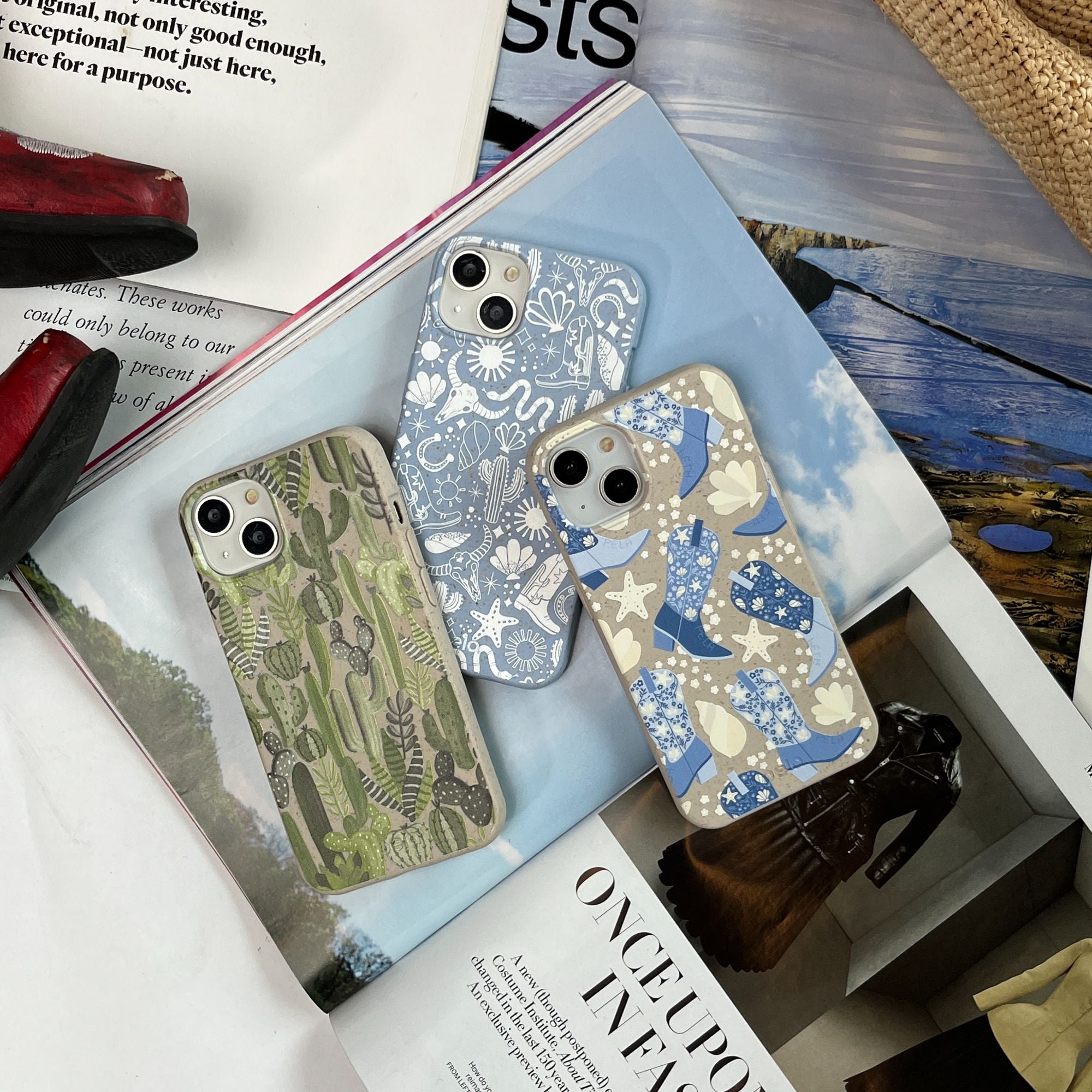 SUCCULENT-CACTI_IP15P_Seashell