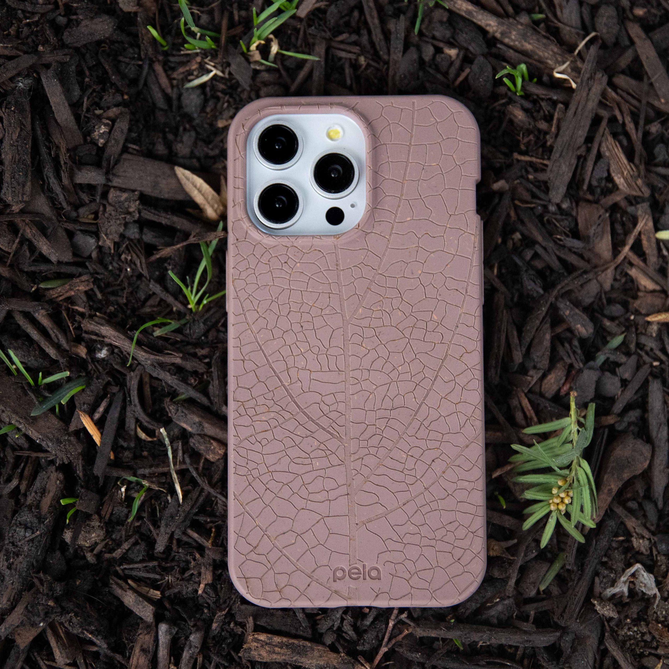 LEAF-VEINS_PX8A_ChocolateBrown