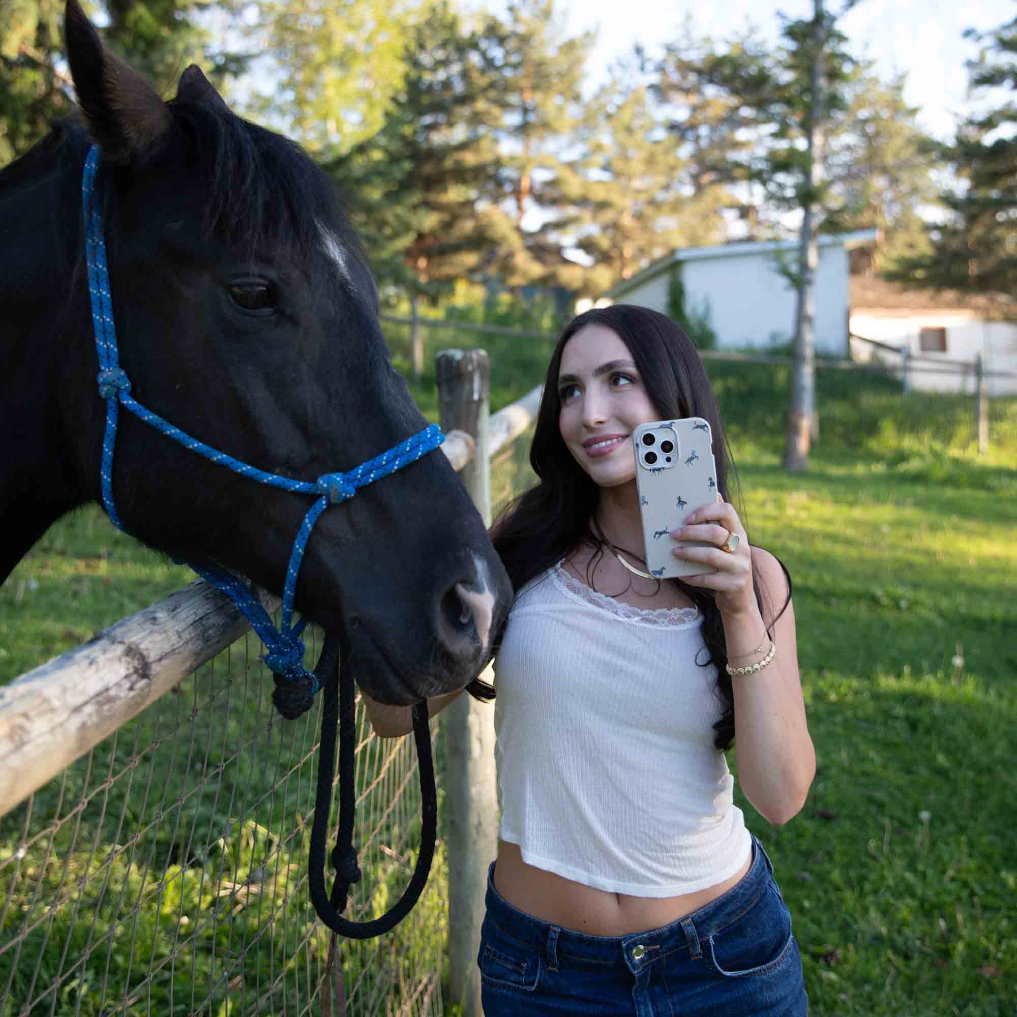 MINI-HORSES_S24ULTRA_LondonFog