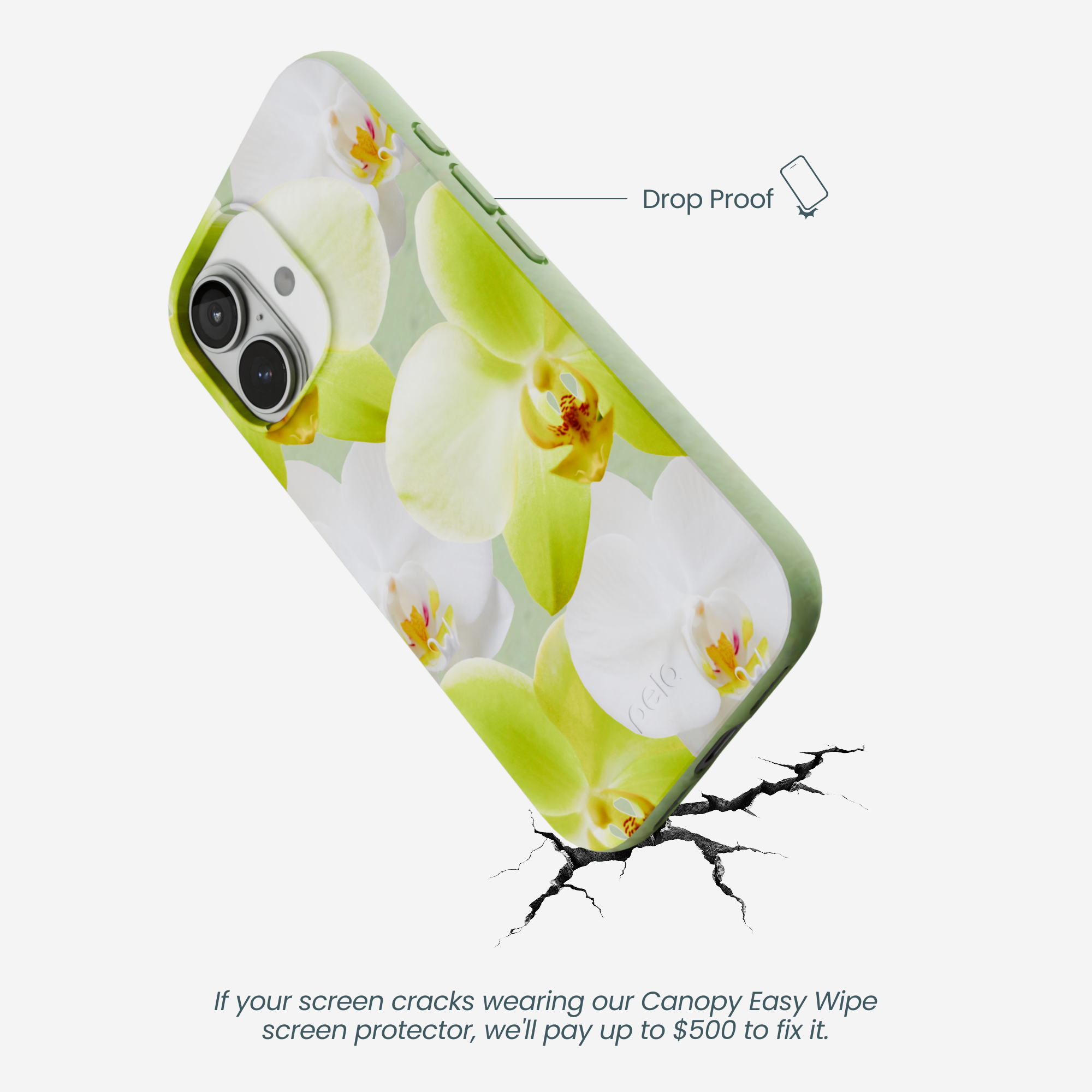 ORCHID-BLOOMS_IP17_SageGreen