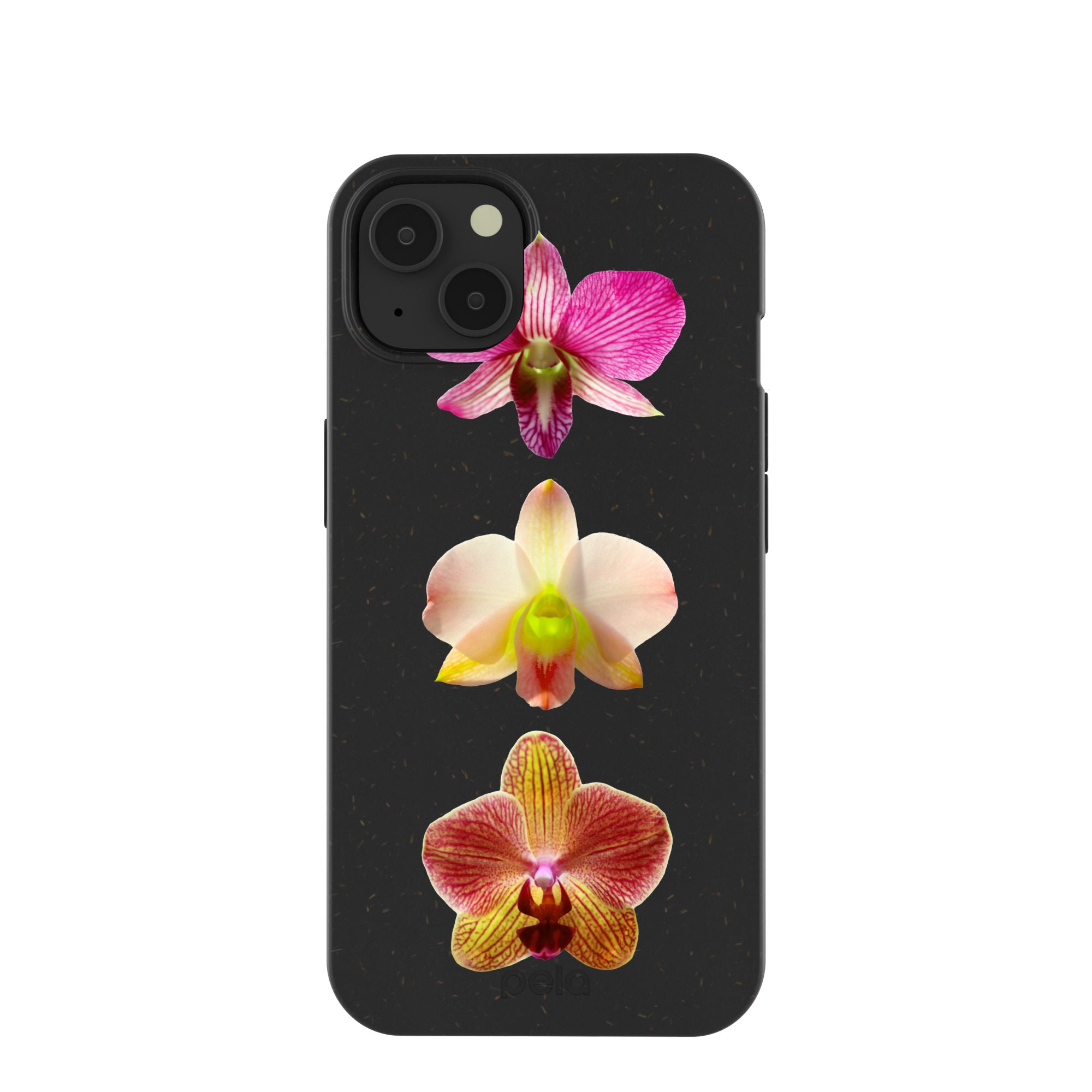 ORCHIDS_IP13_Black