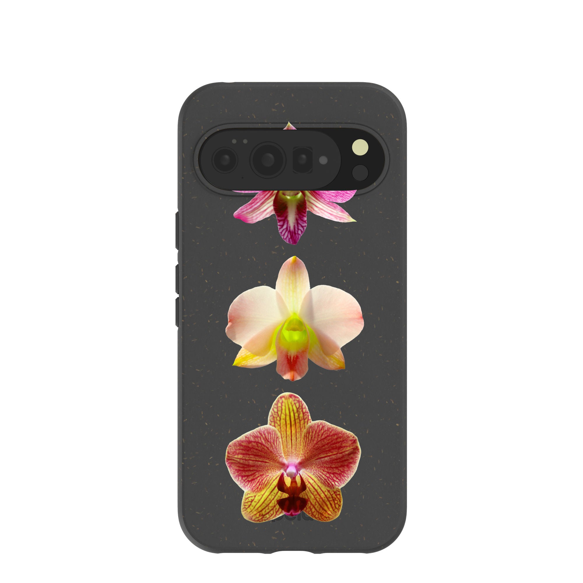 ORCHIDS_PX10PXL_Black