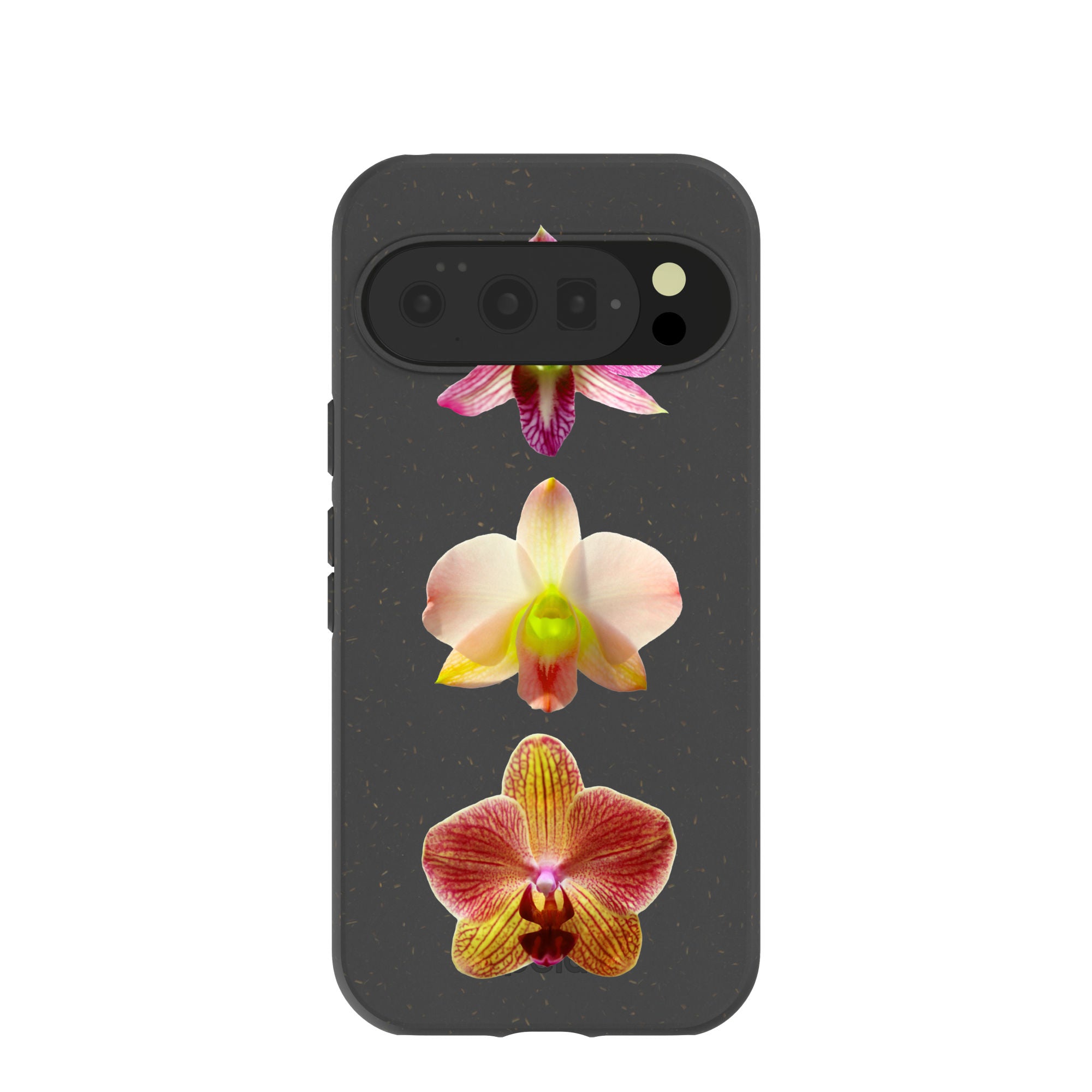 ORCHIDS_PX10_Black