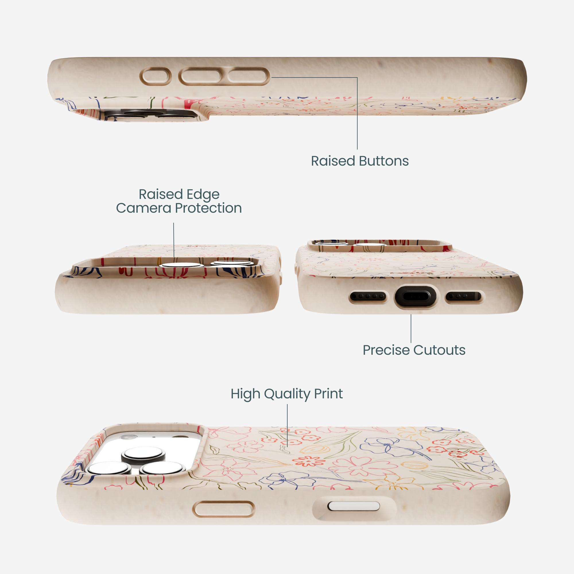 PETALS-SKETCH_IP17P_Seashell