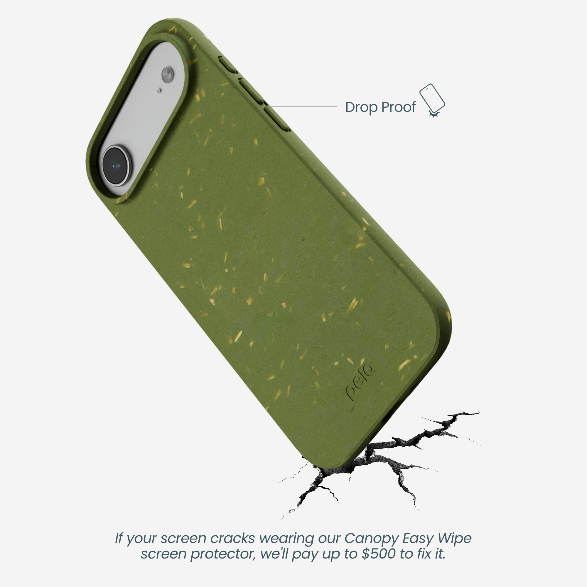 IP17A_FORESTFLOOR_BACK