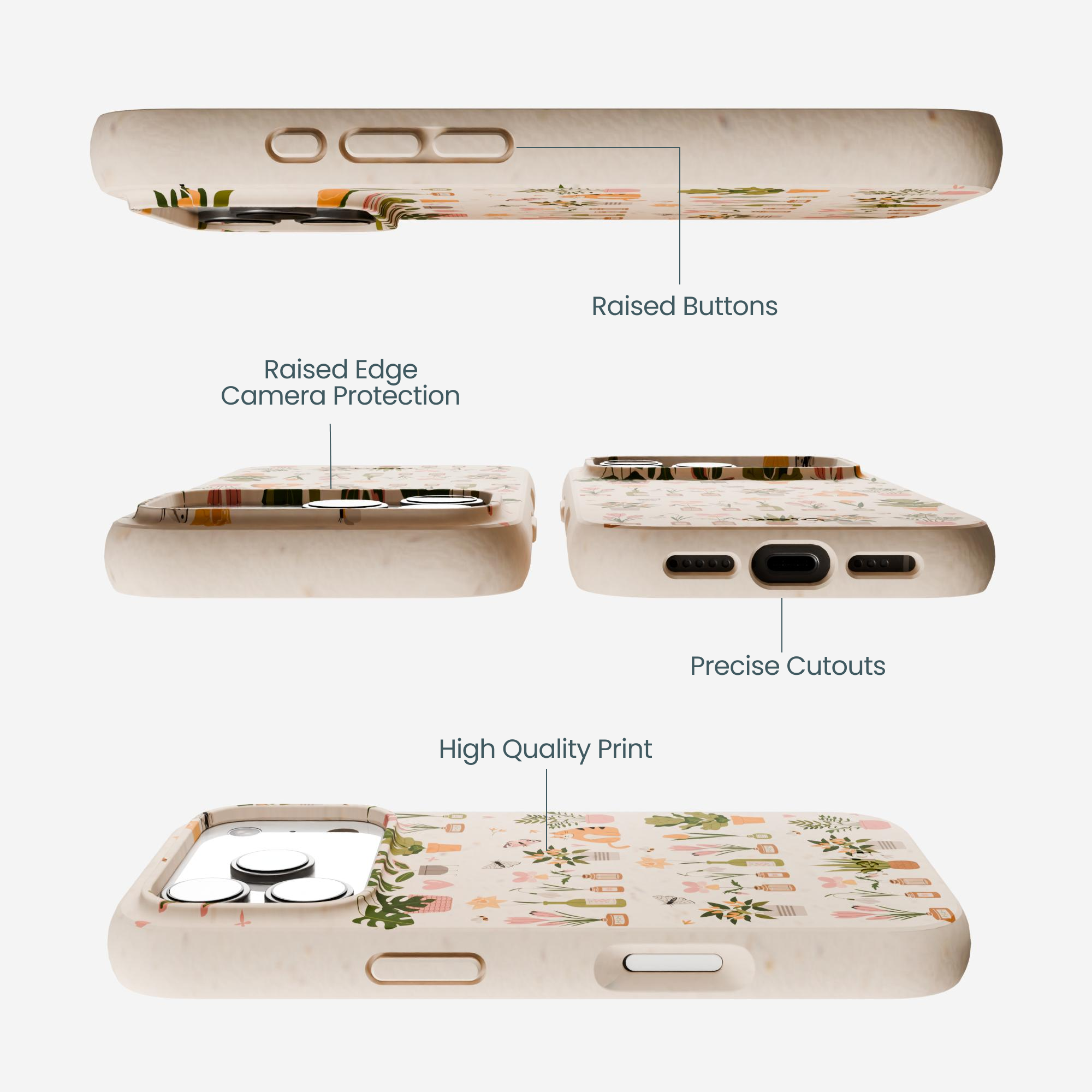 PLANTS-AND-BLOOMS_IP17P_Seashell