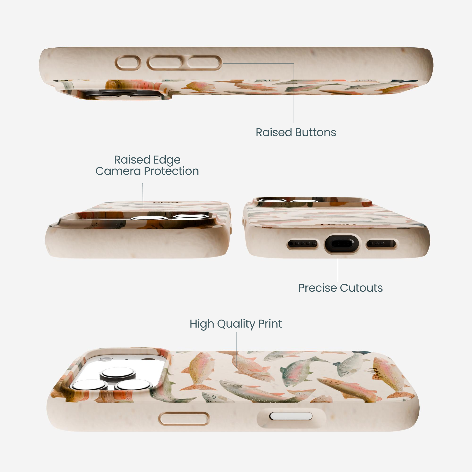 RAINBOW-TROUT_IP17P_Seashell