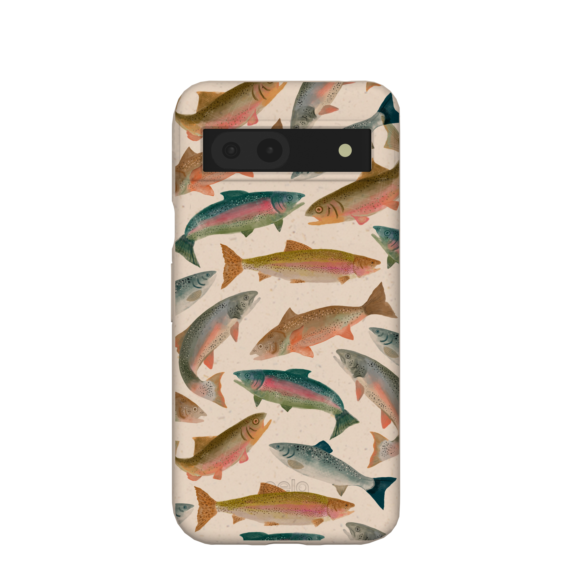 RAINBOW-TROUT_PX8A_Seashell