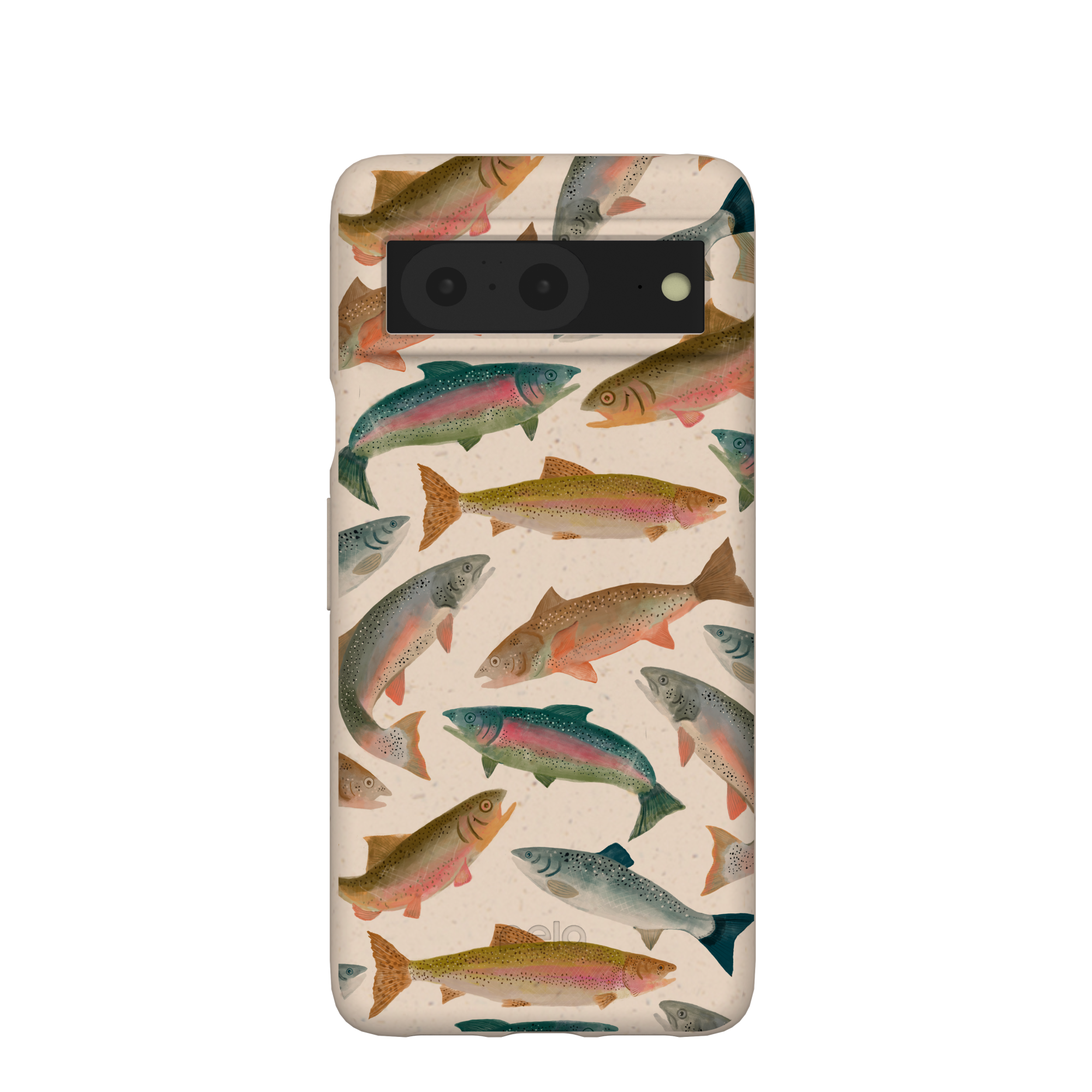 RAINBOW-TROUT_PX8_Seashell