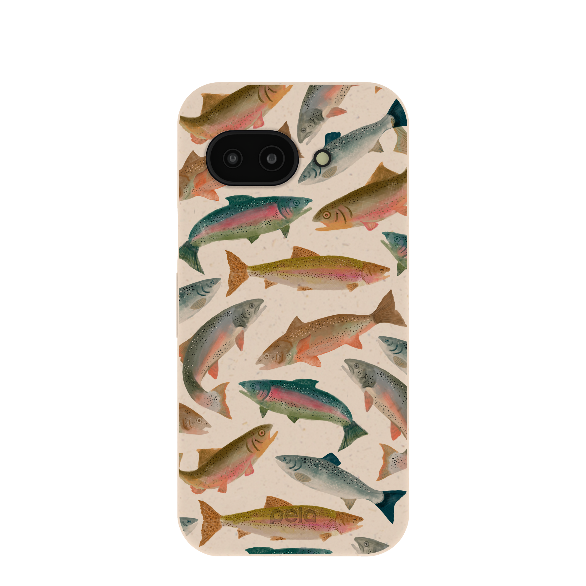 RAINBOW-TROUT_PX9A_Seashell