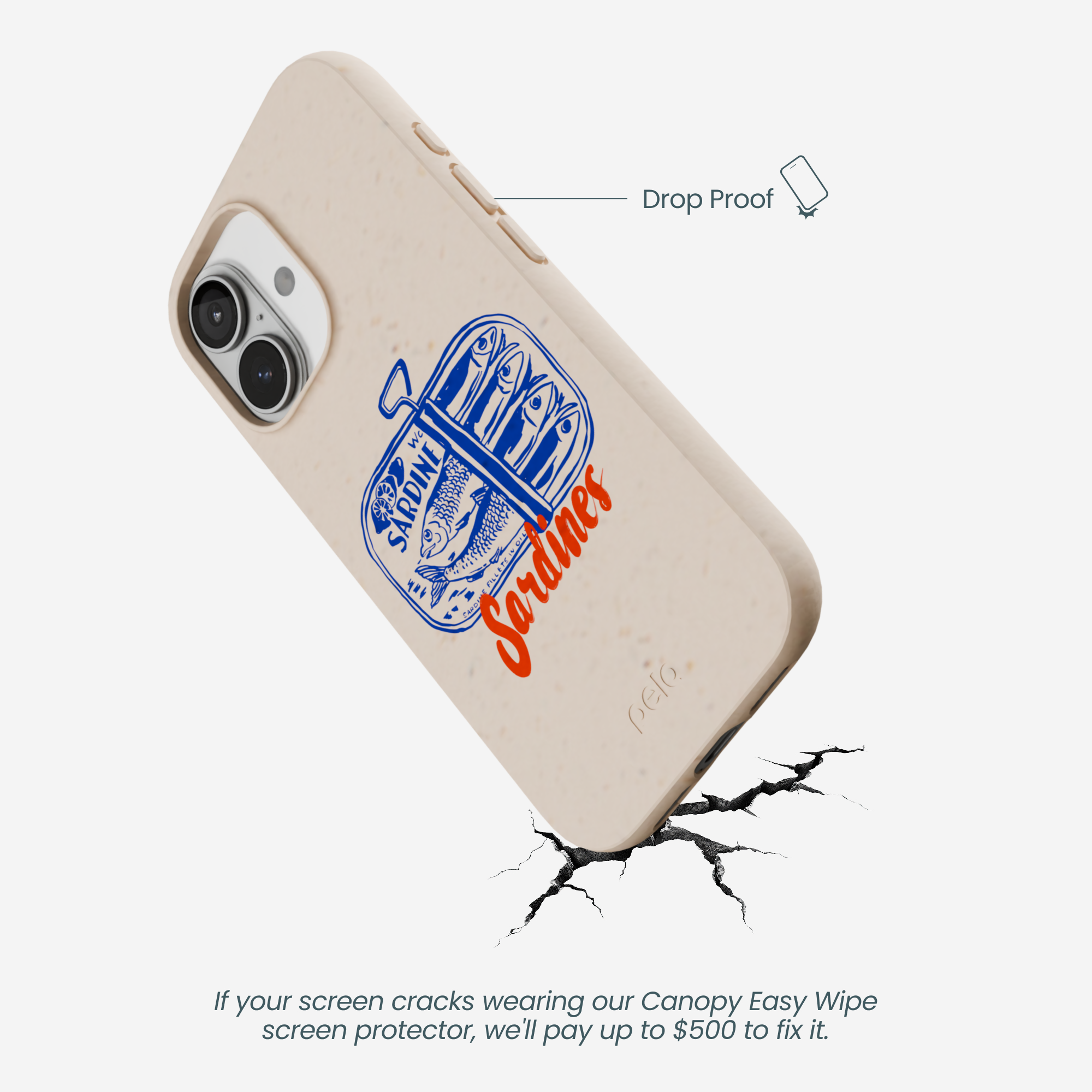 SARDINES_IP17_Seashell