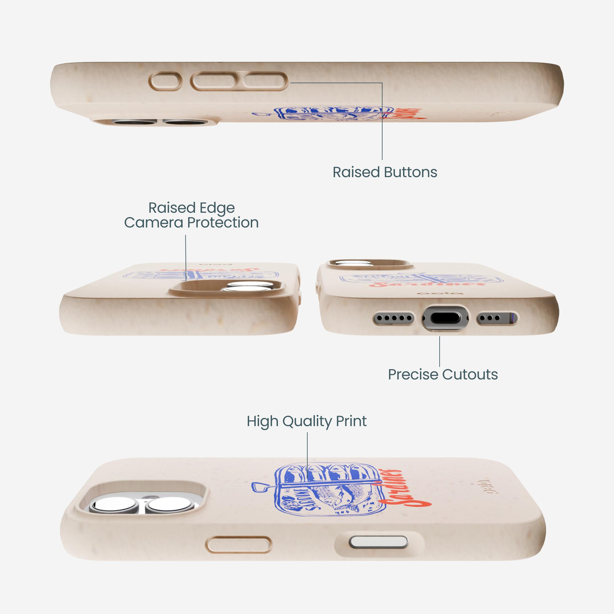 SARDINES_IP17_Seashell