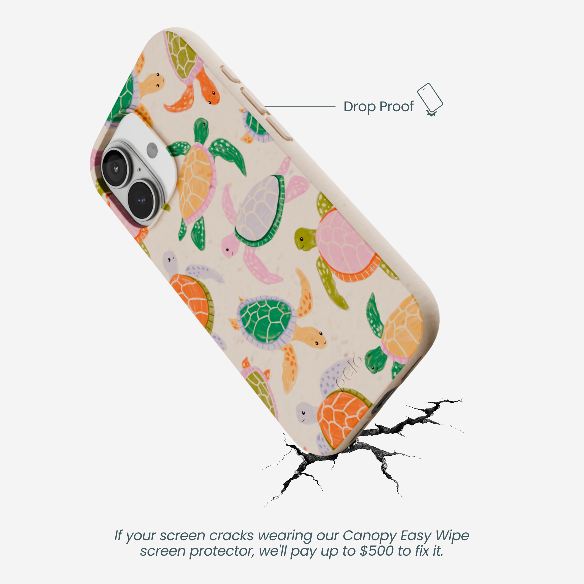 SEA-TURTLE-PARTY_IP17_Seashell