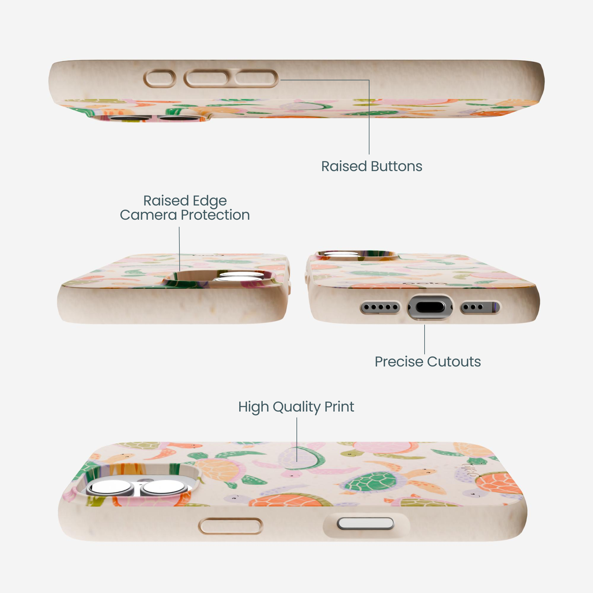 SEA-TURTLE-PARTY_IP17_Seashell