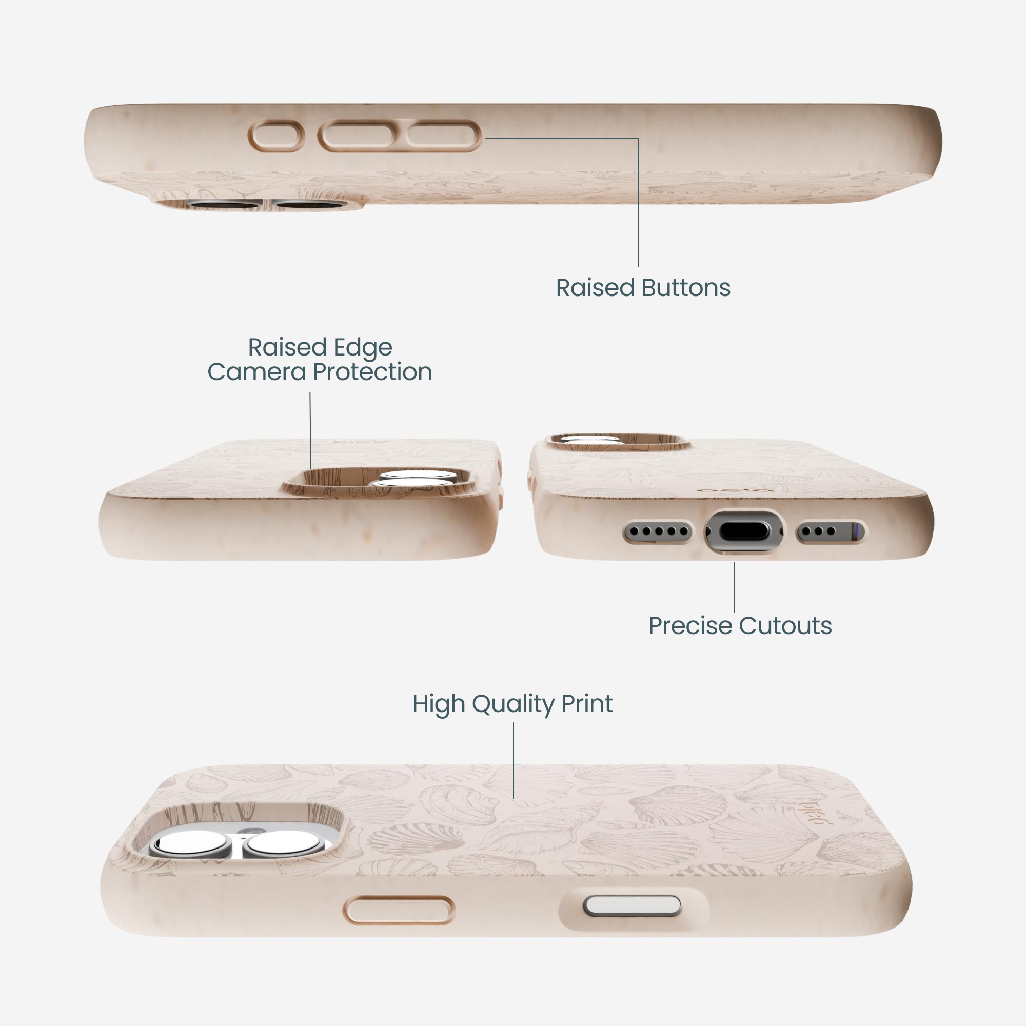 SEASHORE_IP17_Seashell