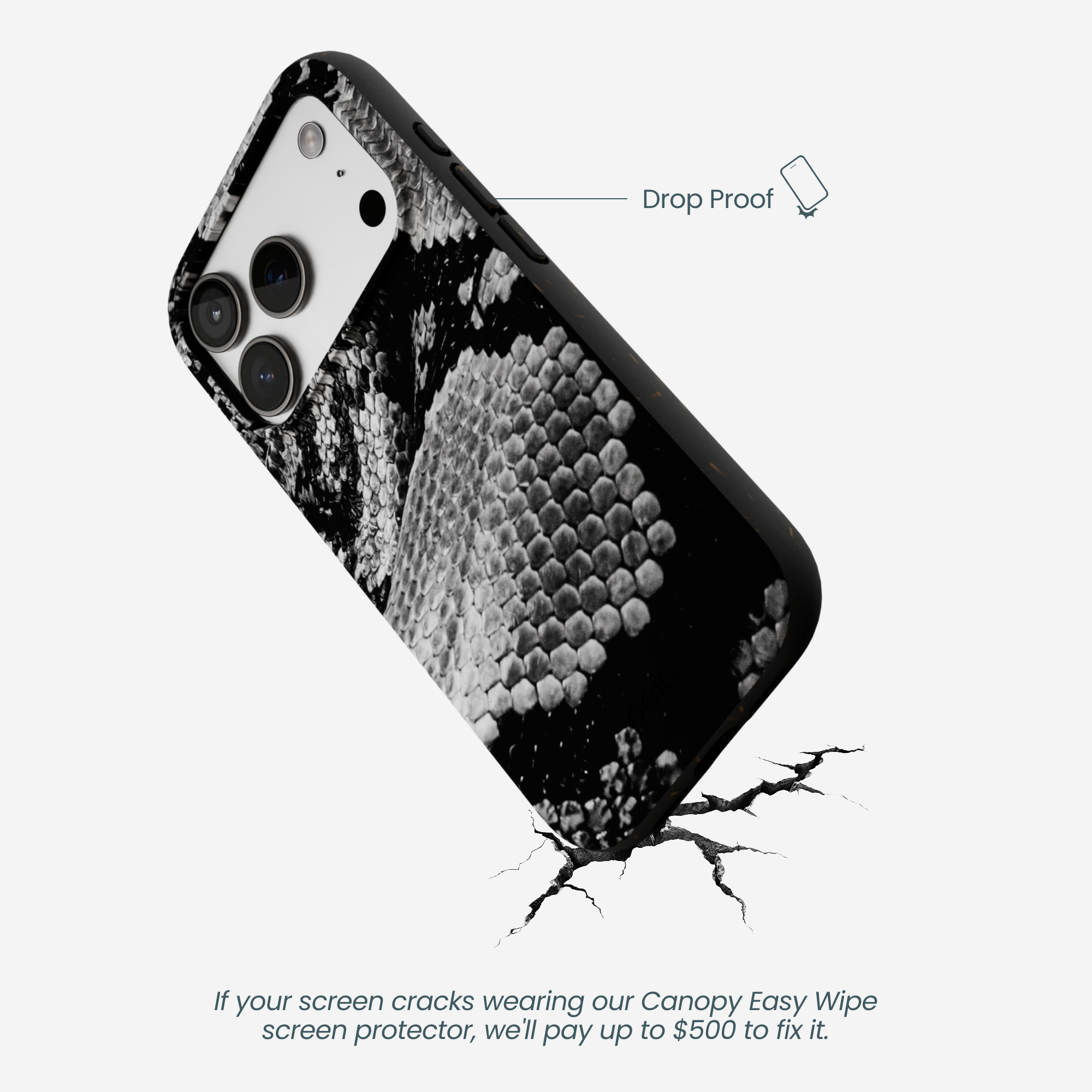 SNAKE-SCALE_IP17P_Black