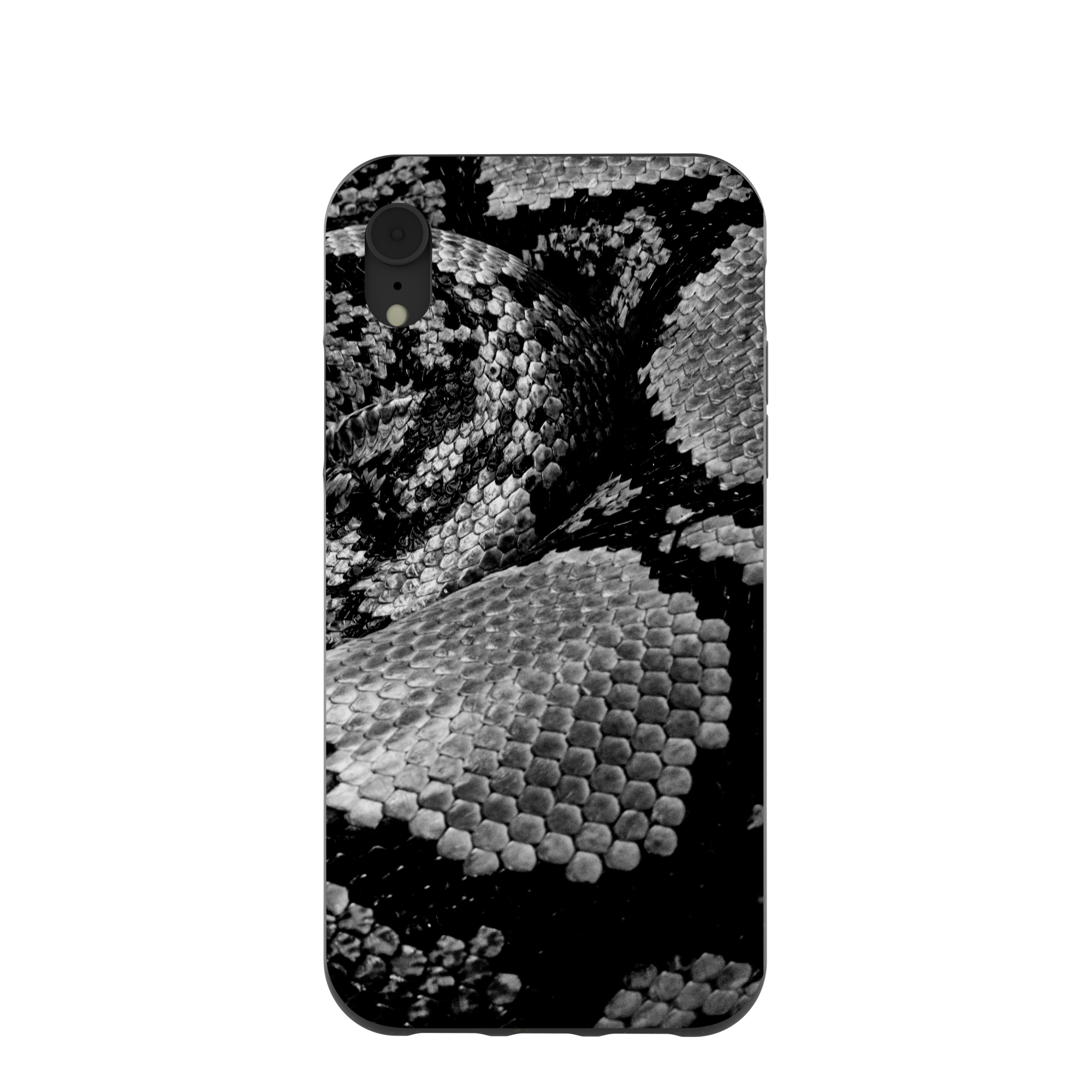 SNAKE-SCALE_IPXR_Black