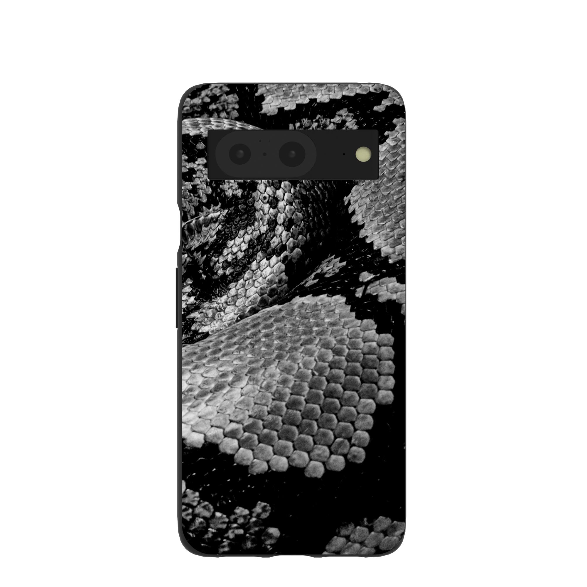SNAKE-SCALE_PX8_Black