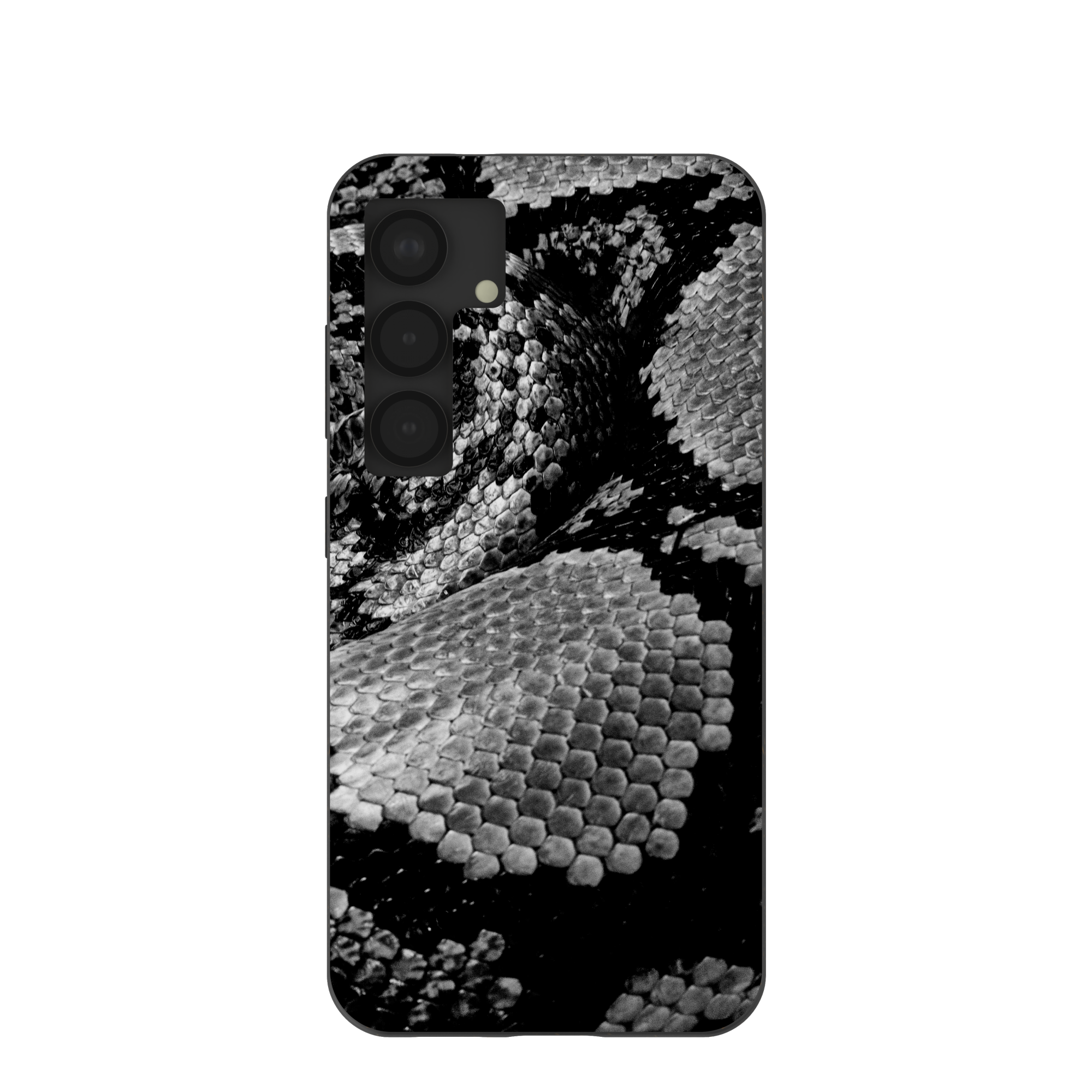 SNAKE-SCALE_S25_Black