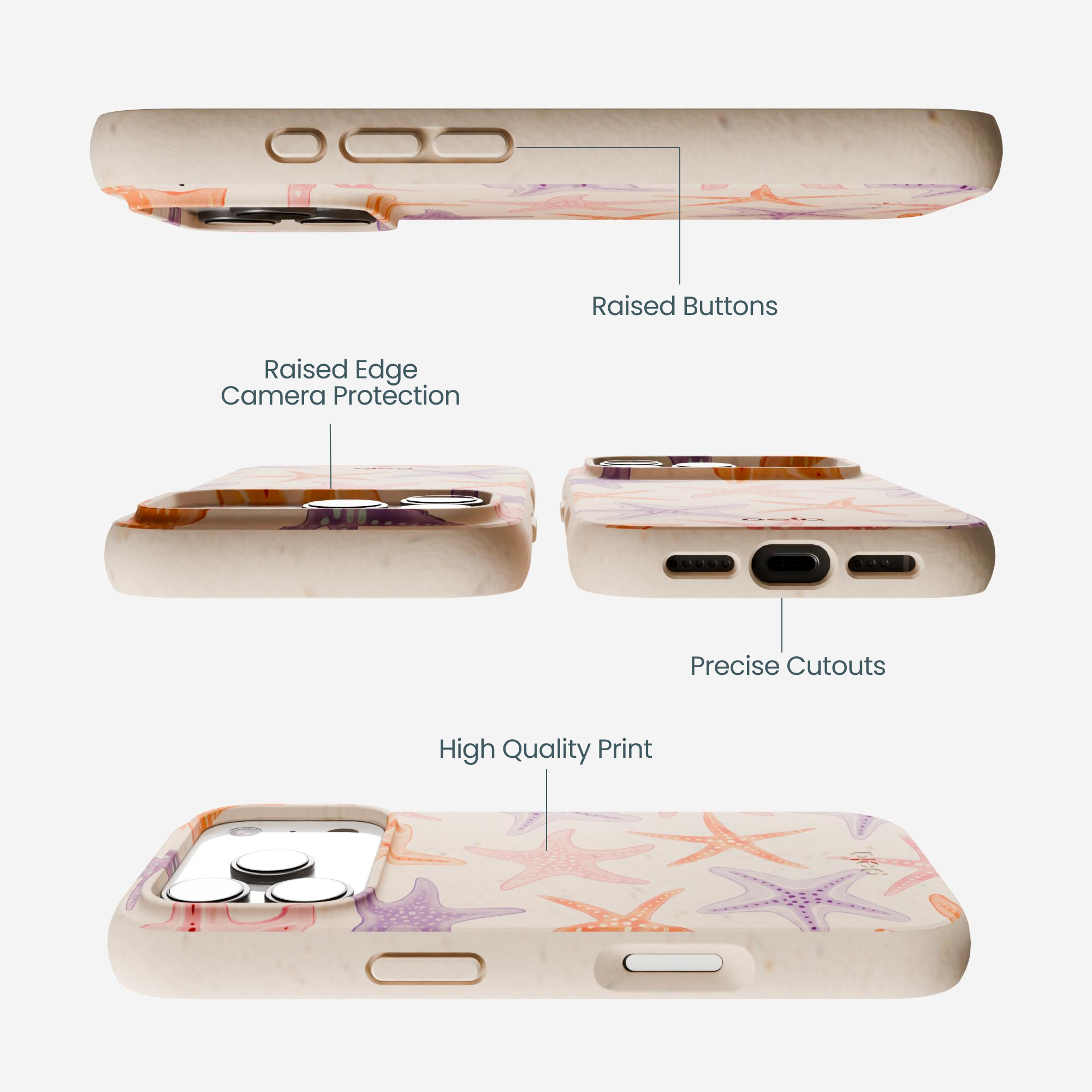 STARFISH-PARADE_IP17P_Seashell