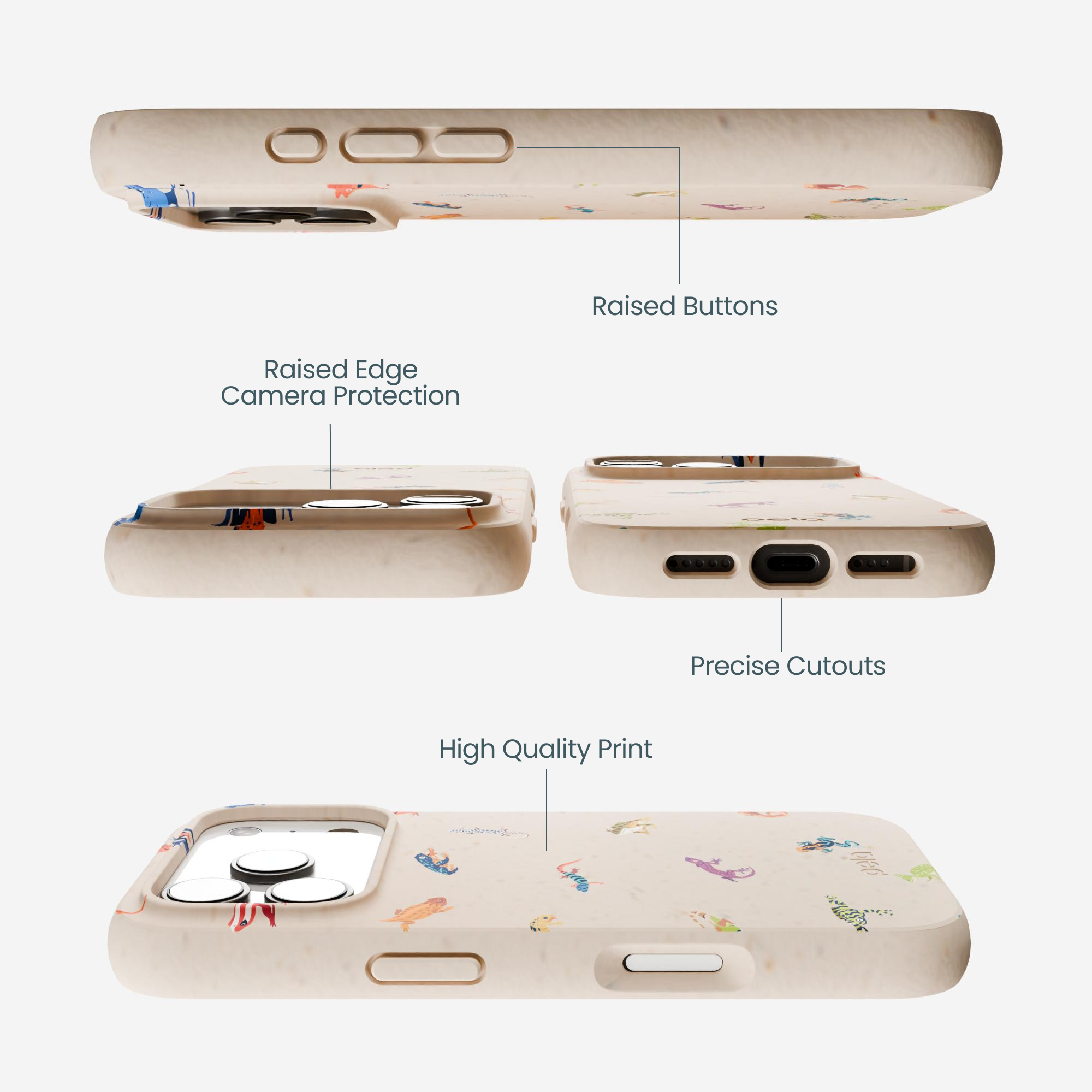 TINY-AMPHIBIANS_IP17P_Seashell