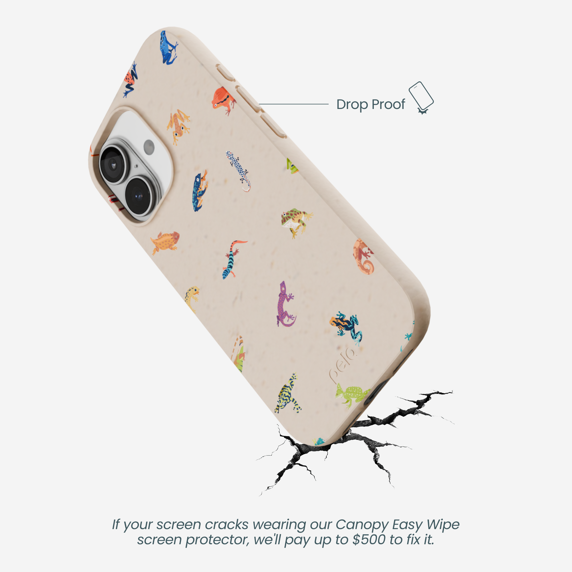 TINY-AMPHIBIANS_IP17_Seashell