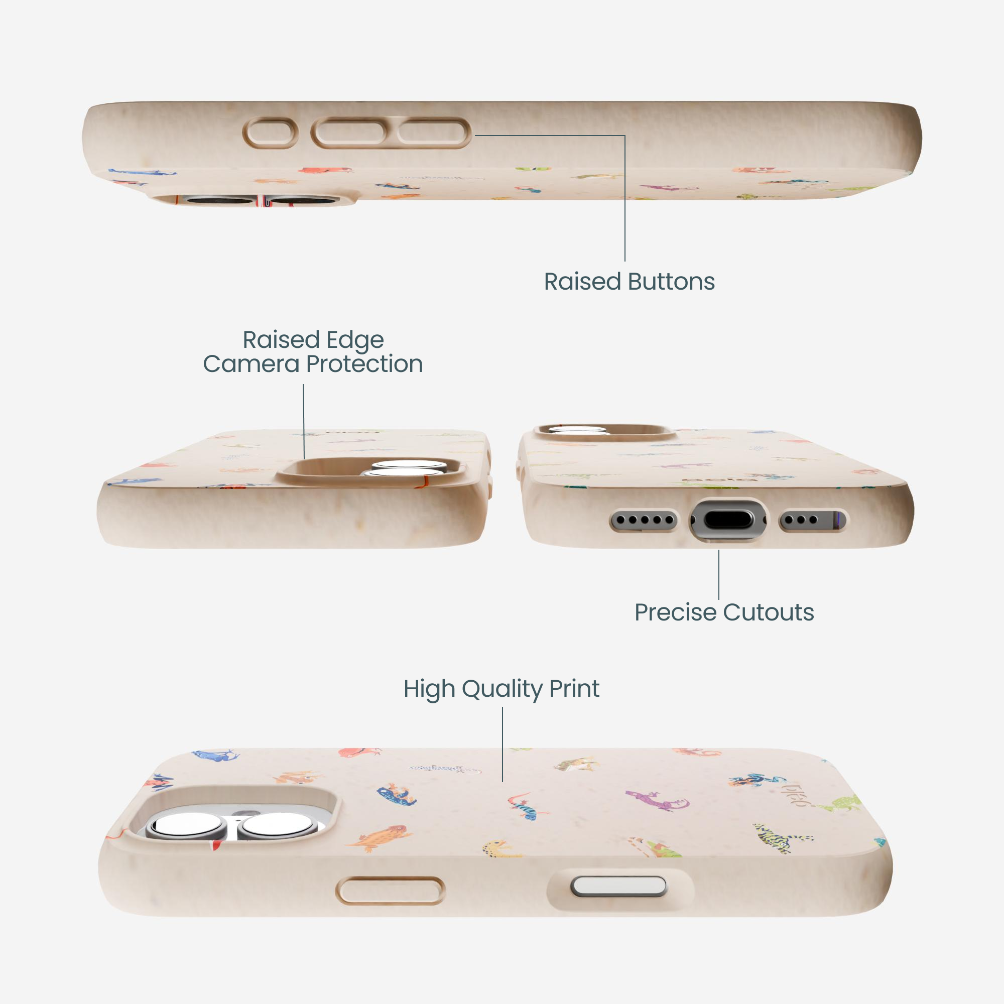 TINY-AMPHIBIANS_IP17_Seashell