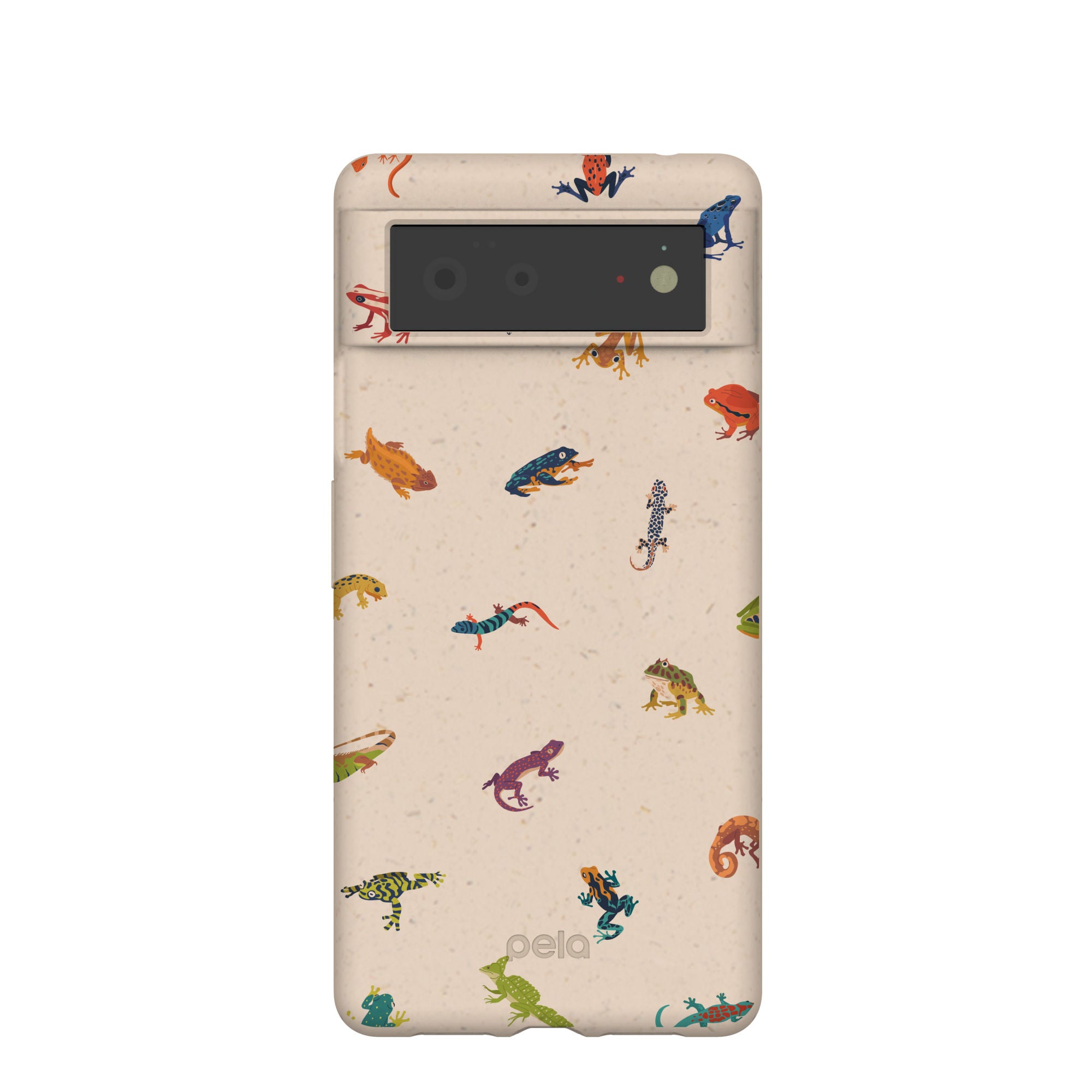 TINY-AMPHIBIANS_PX6_Seashell