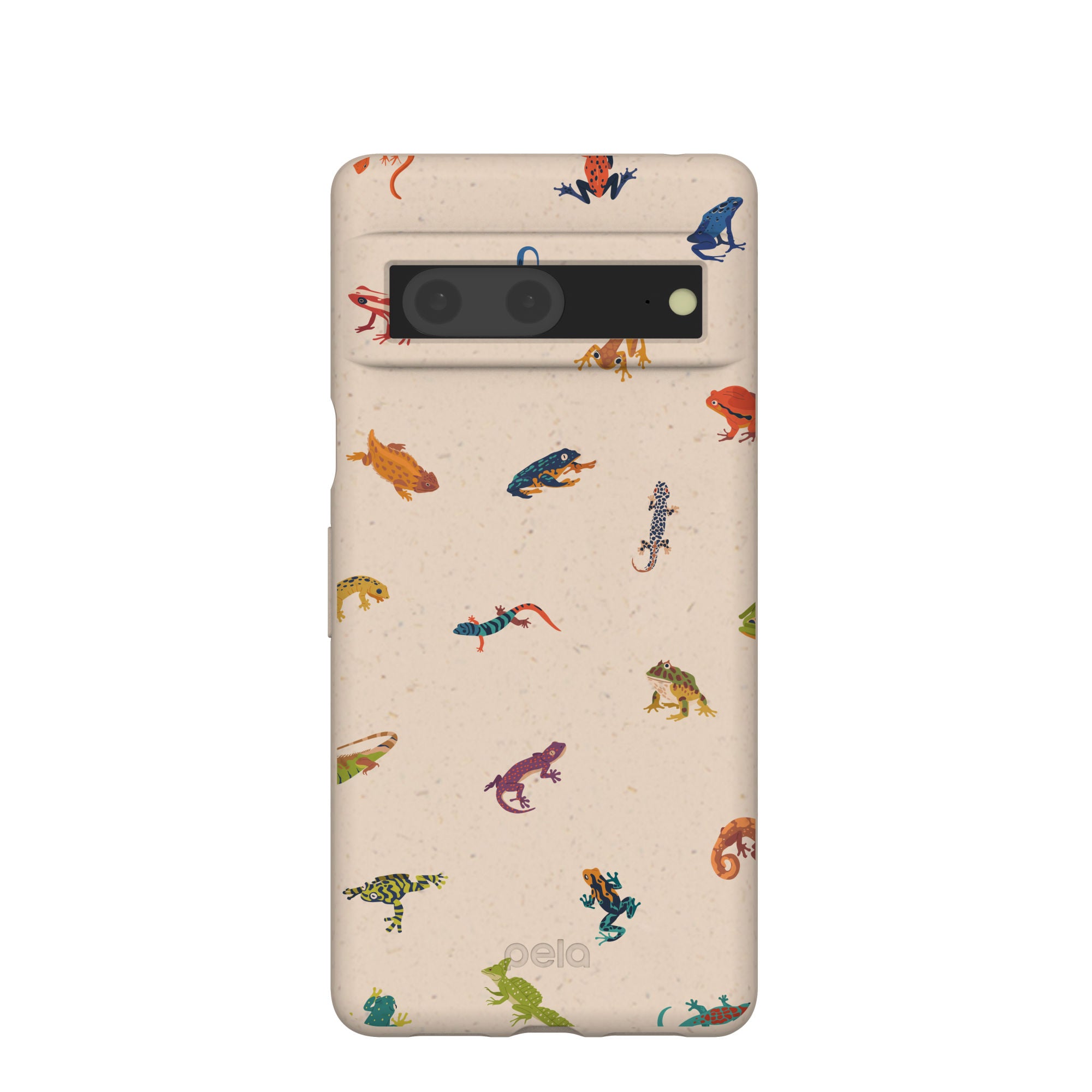 TINY-AMPHIBIANS_PX7_Seashell