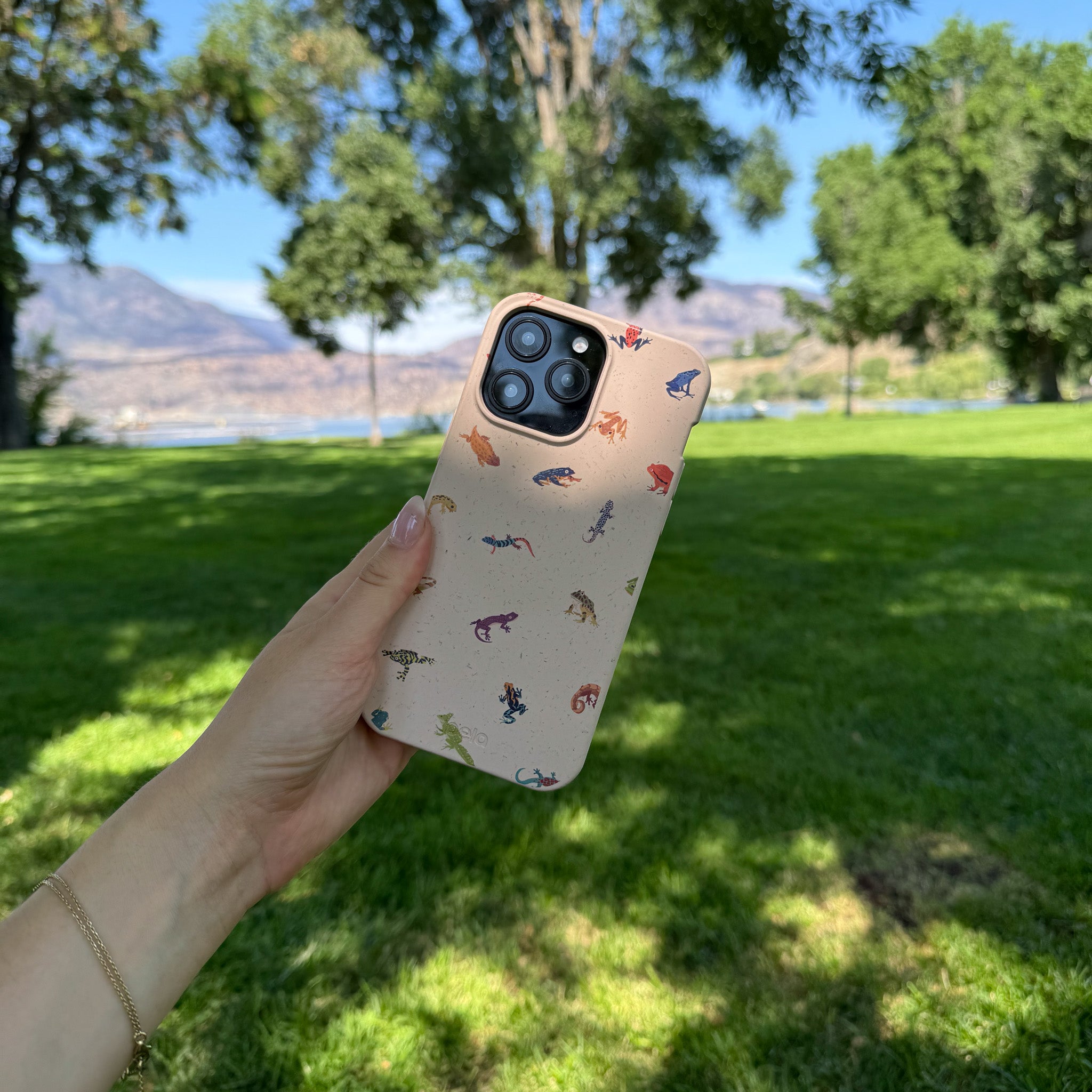 TINY-AMPHIBIANS_IP13MINI_Seashell