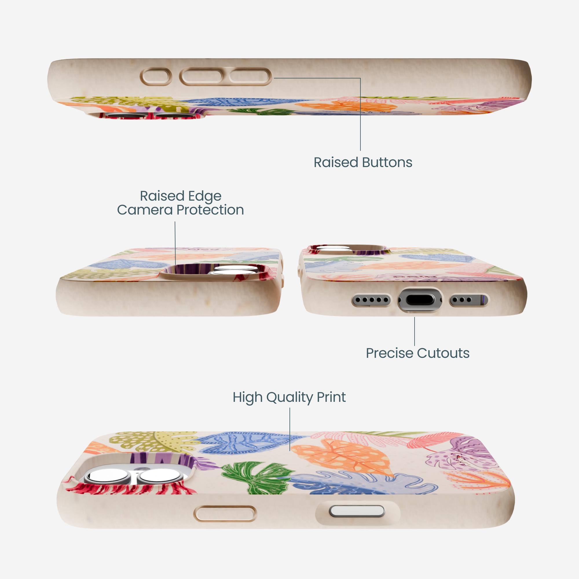 TROPICAL-CHEER_IP17_Seashell