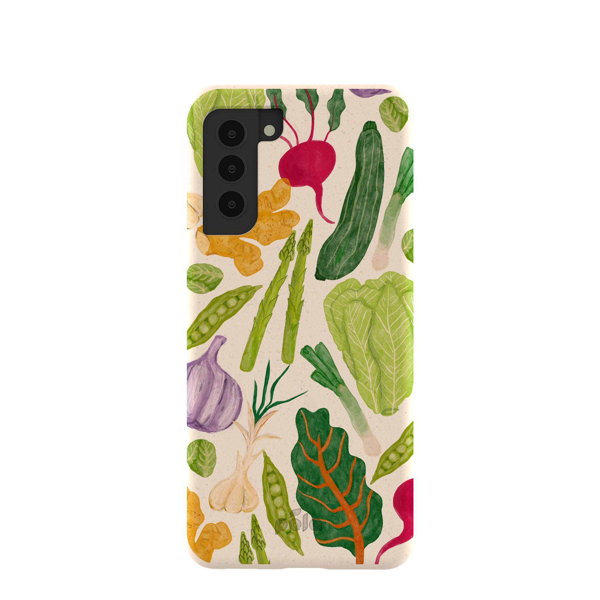 VEGGIE-PATCH_S21_Seashell