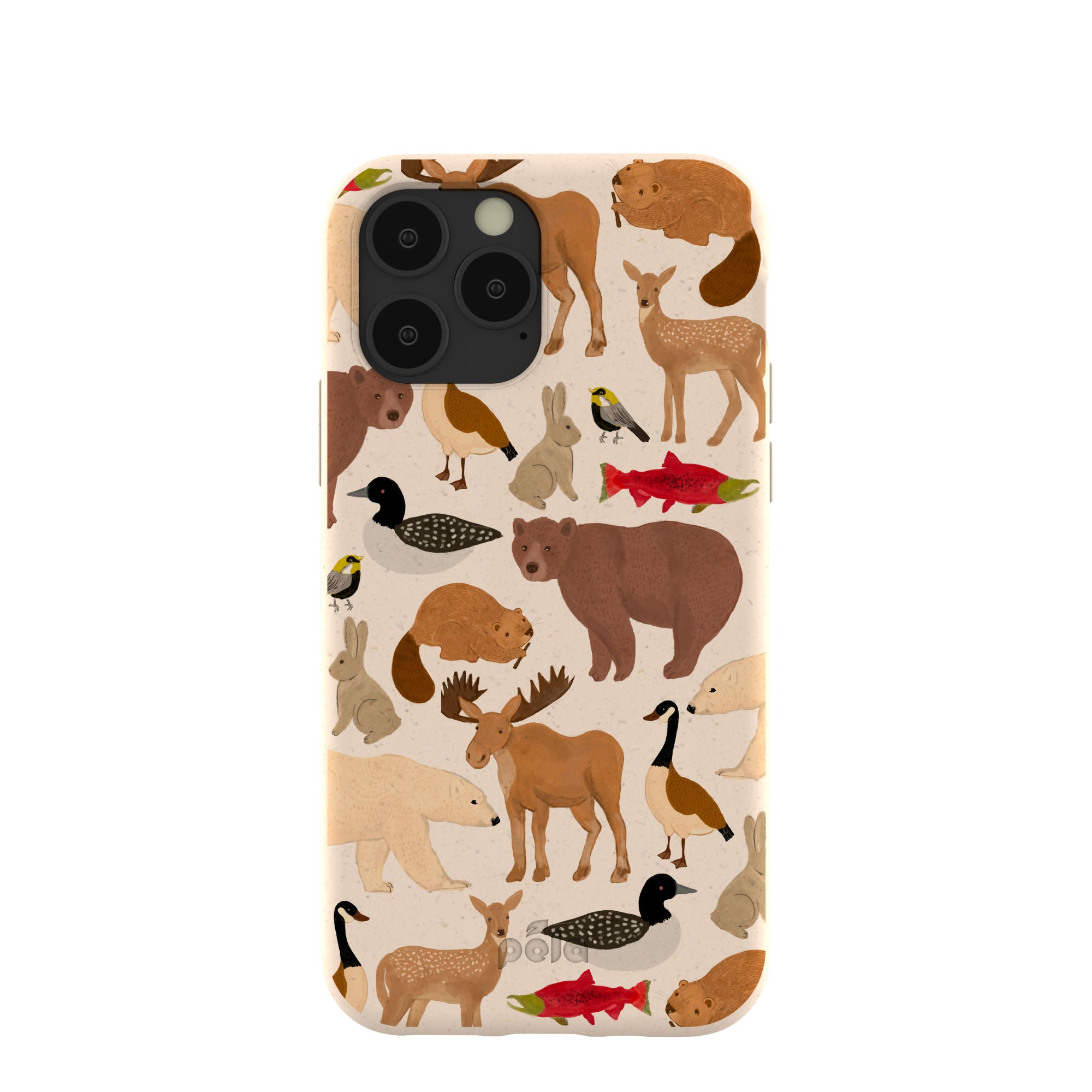 WILD-CANADA_IP11P_Seashell