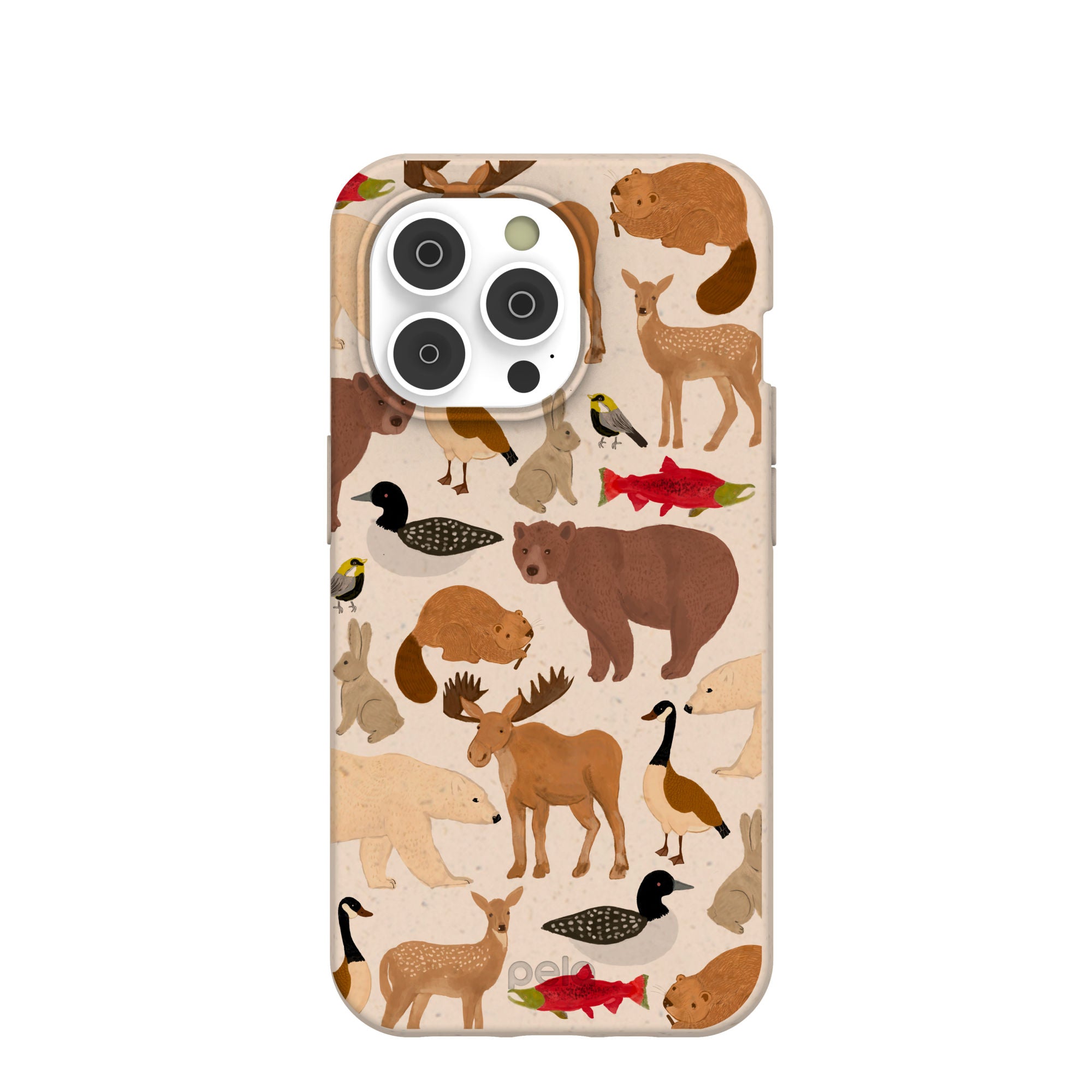 WILD-CANADA_IP14P_Seashell