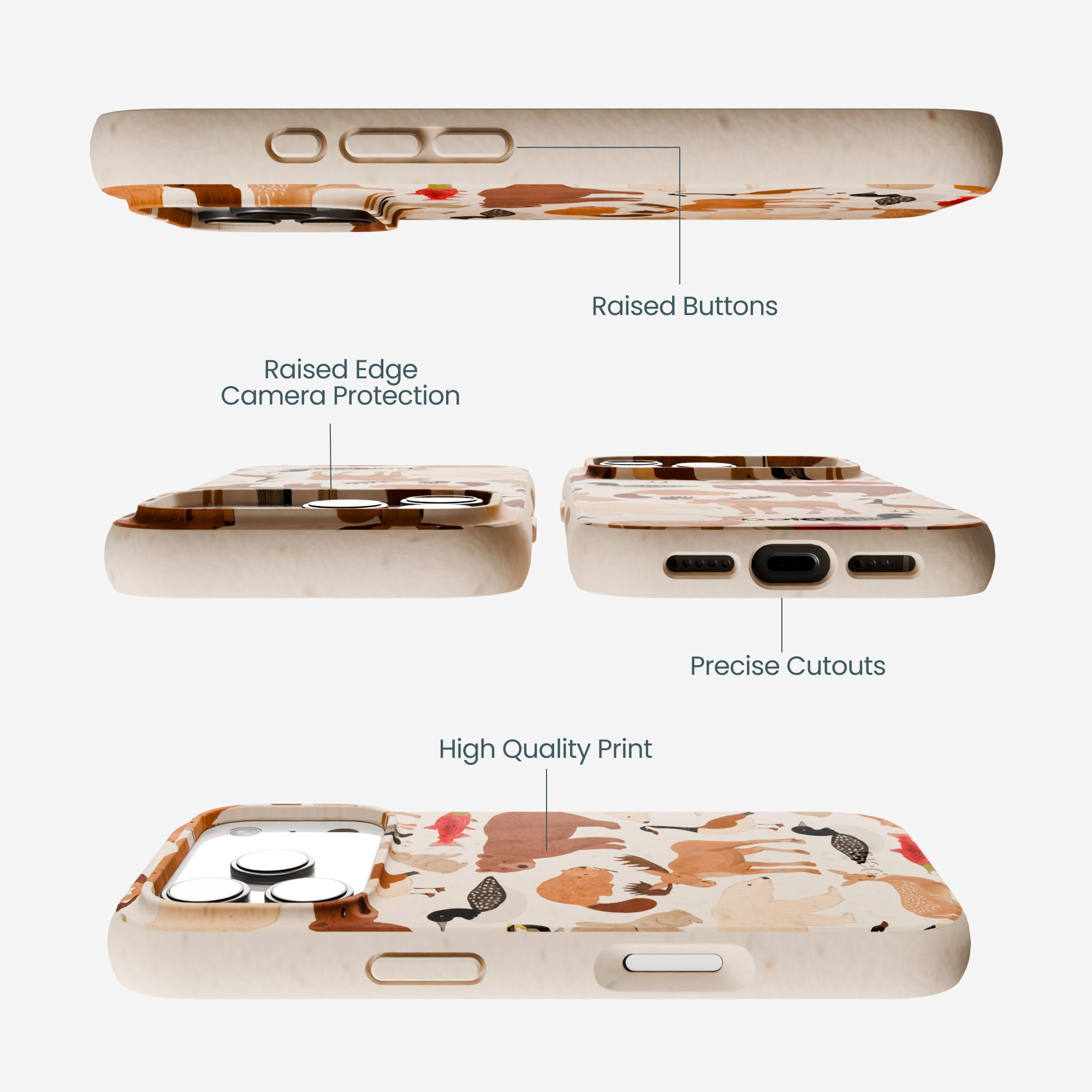 WILD-CANADA_IP17P_Seashell