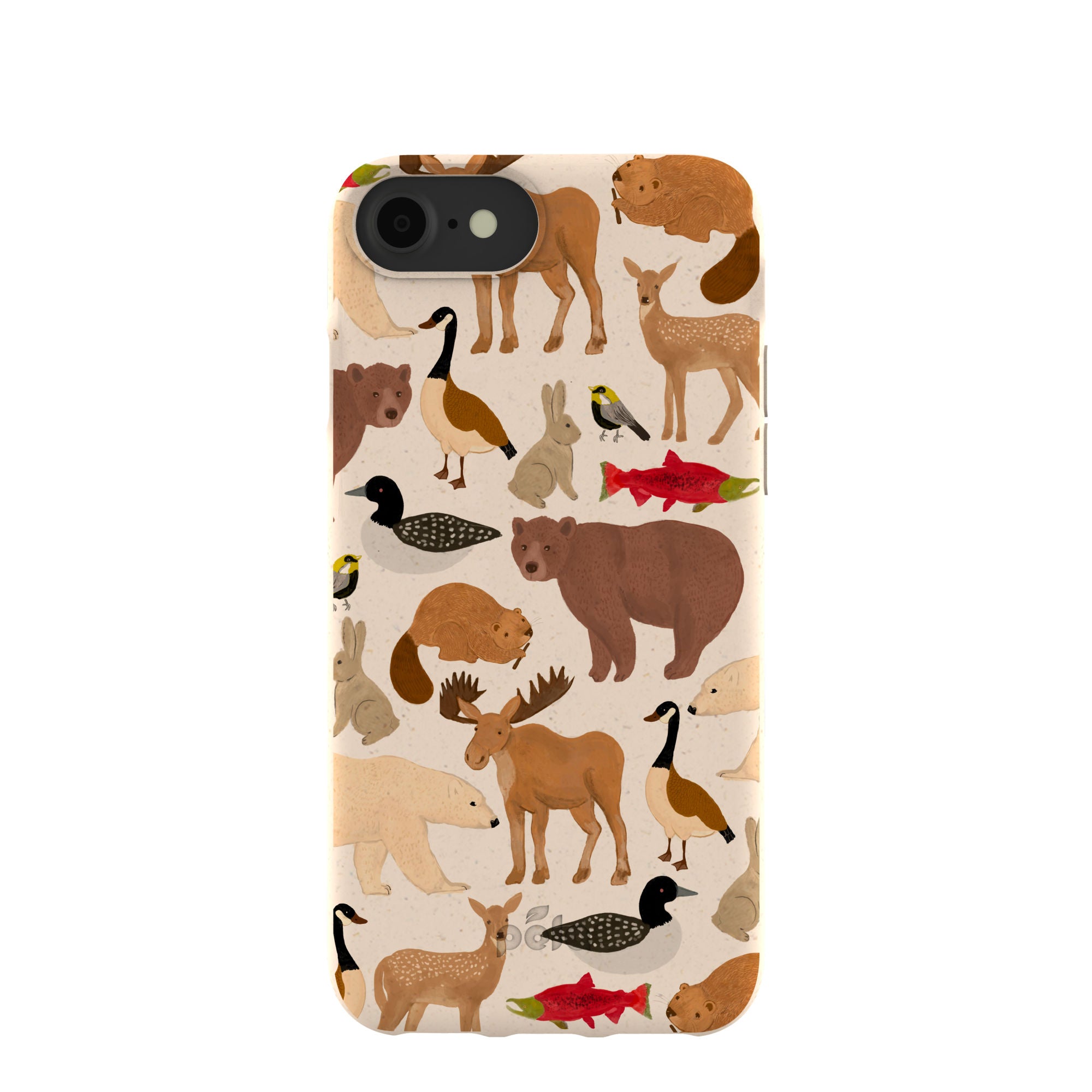 WILD-CANADA_IP7_Seashell