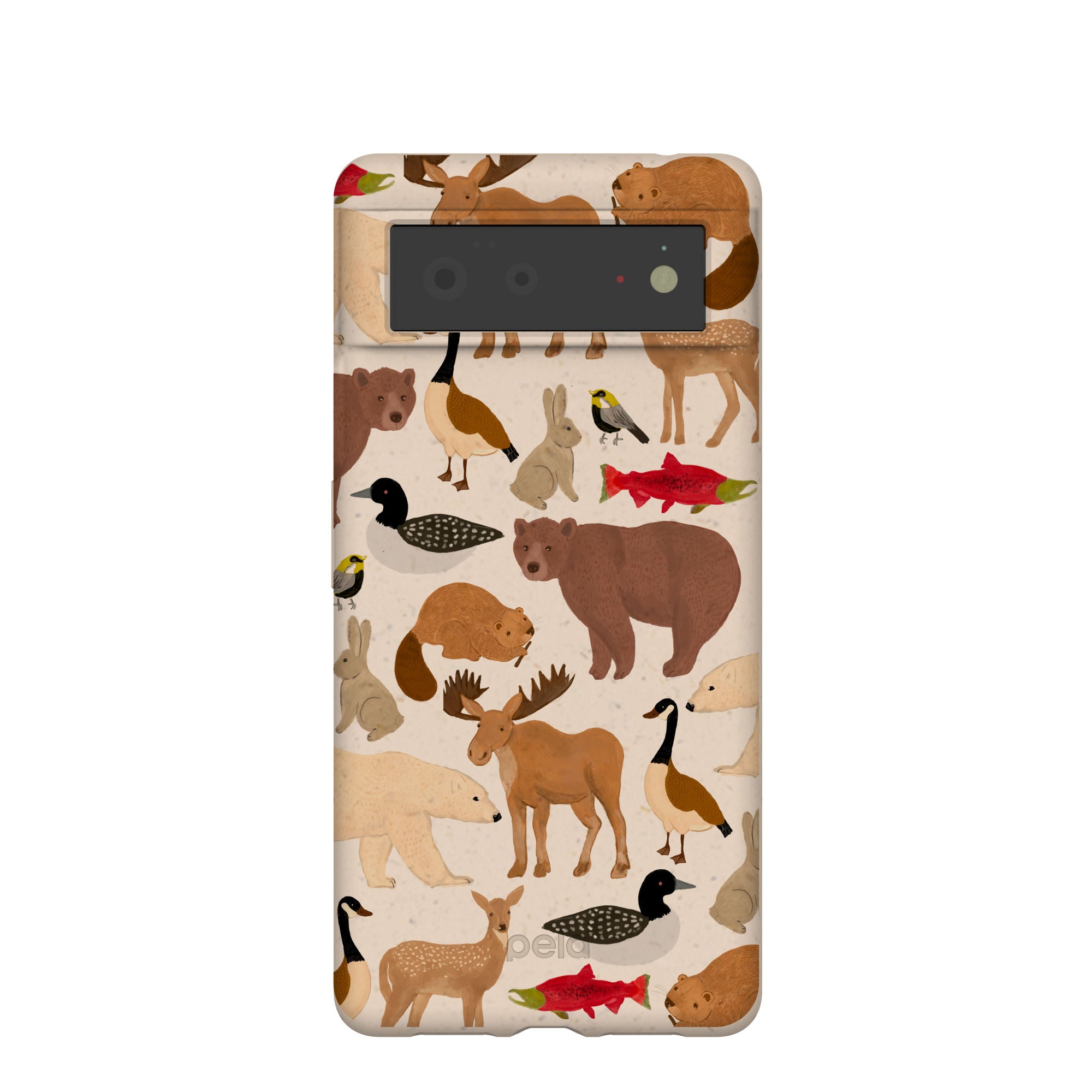 WILD-CANADA_PX6_Seashell