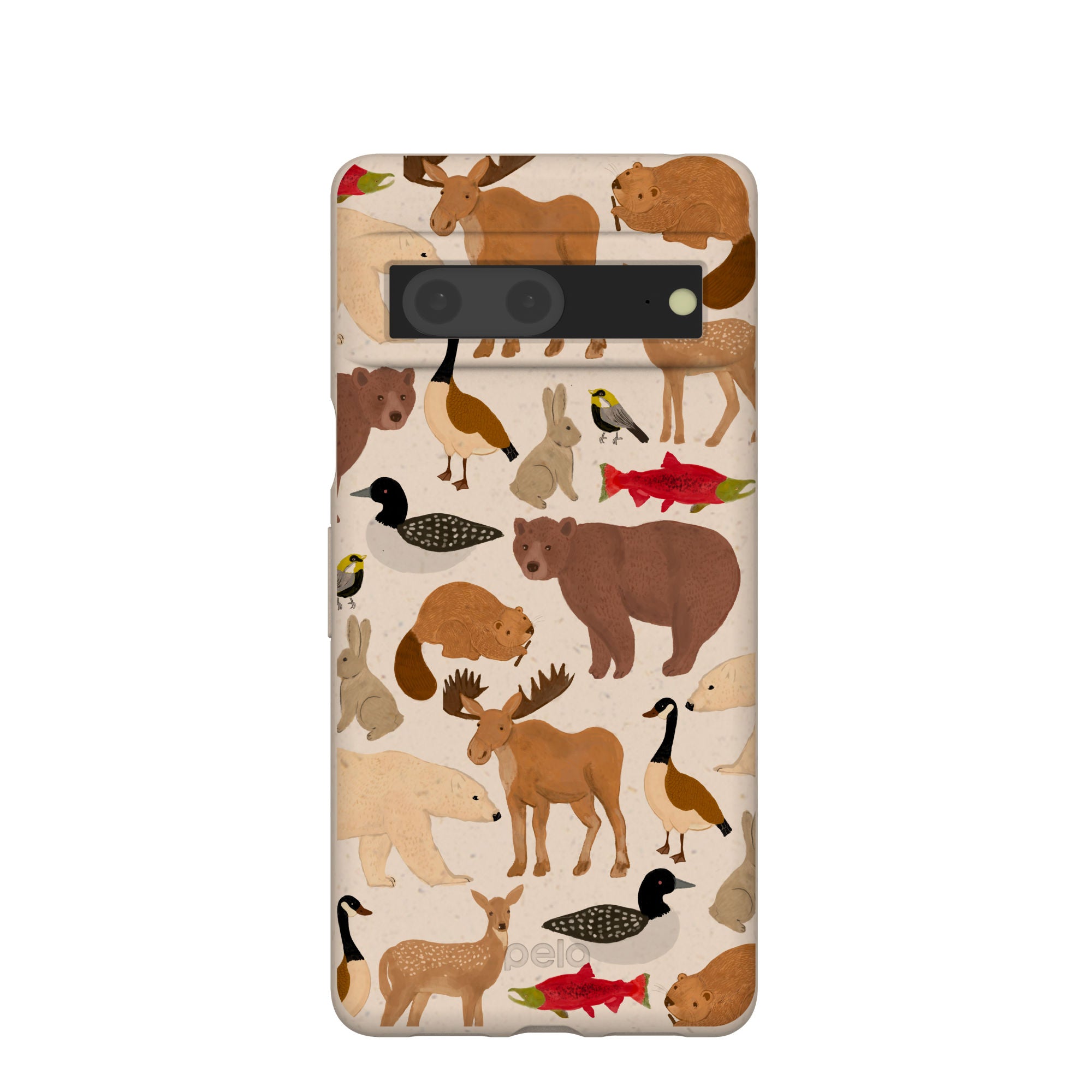 WILD-CANADA_PX7_Seashell