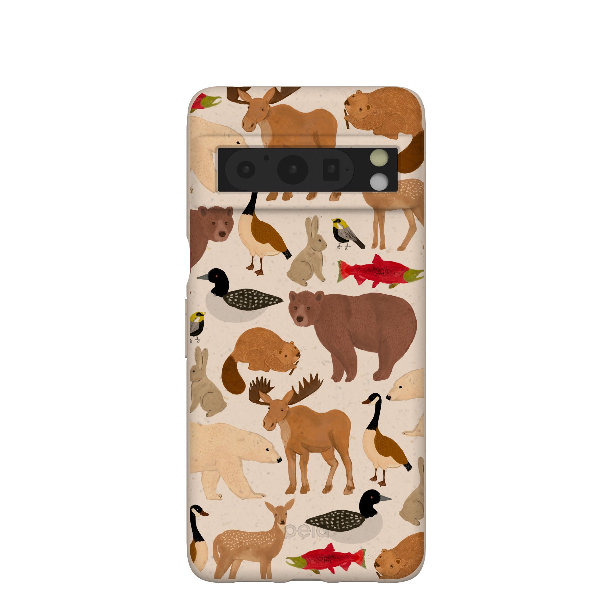 WILD-CANADA_PX8P_Seashell