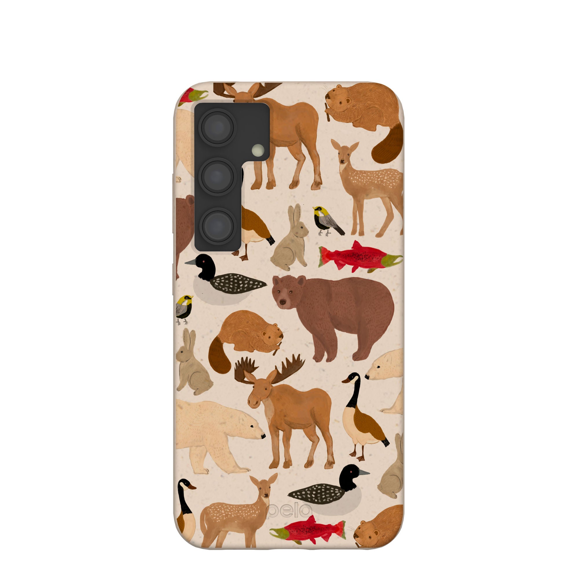 WILD-CANADA_S24_Seashell