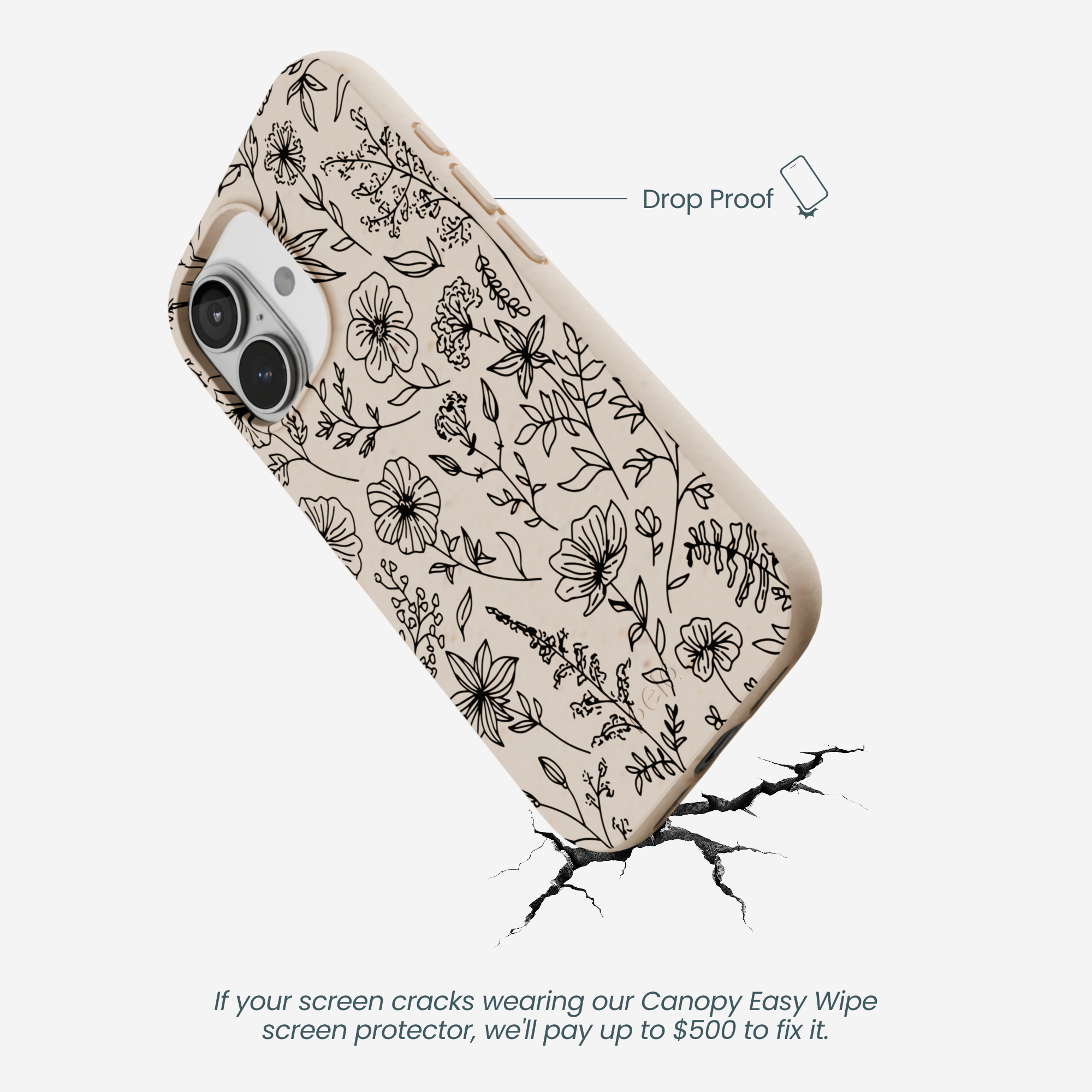 WILD-FLOWER_IP17_Seashell